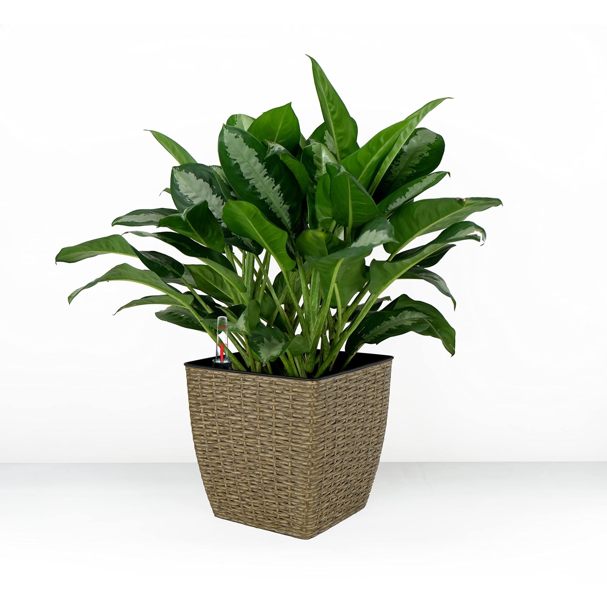 Miki Shinly JJ-4631-12DTY Planter-Window-Box - View #4