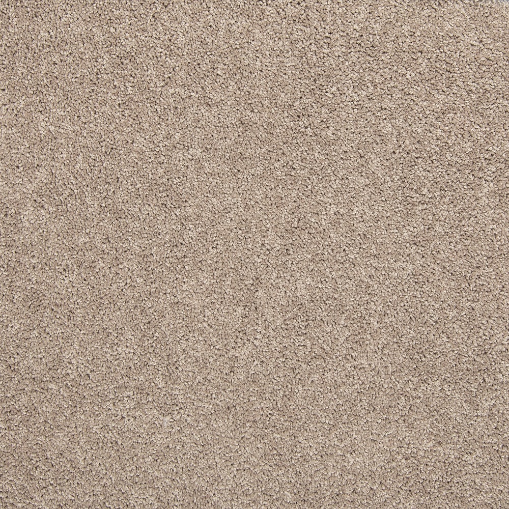 Style Selections Express Install Carolina Coast I Sun Kissed Brown 25-oz sq yard Solution-dyed polyester Textured Indoor Carpet #SS015-12-L007