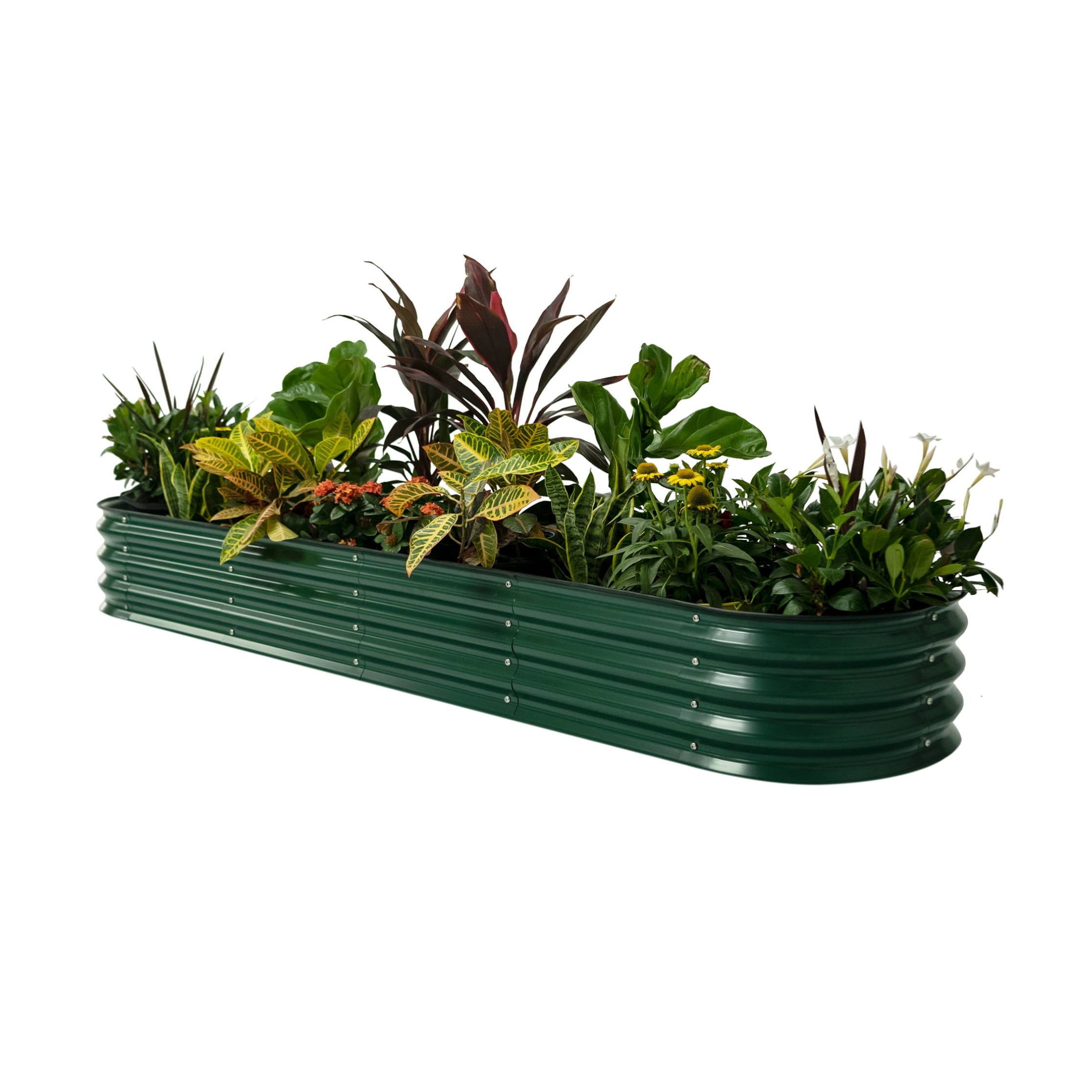 Vego Garden VB9N111BG 21-cu ft 42-in W x 78-in L x 11-in H British Green Galvanized Metal Raised Garden Bed