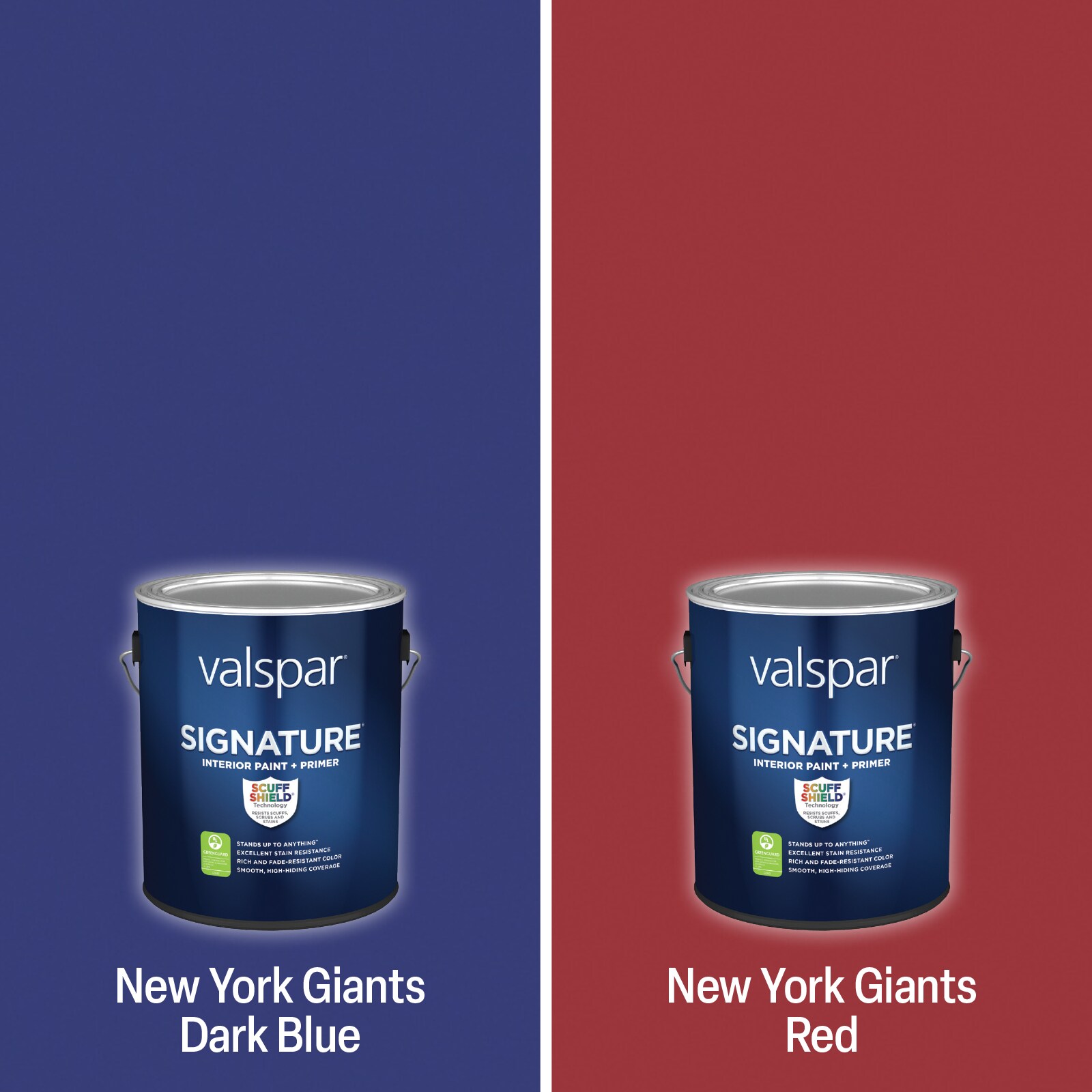 Shop Valspar LV Raiders Paint Project Kit at