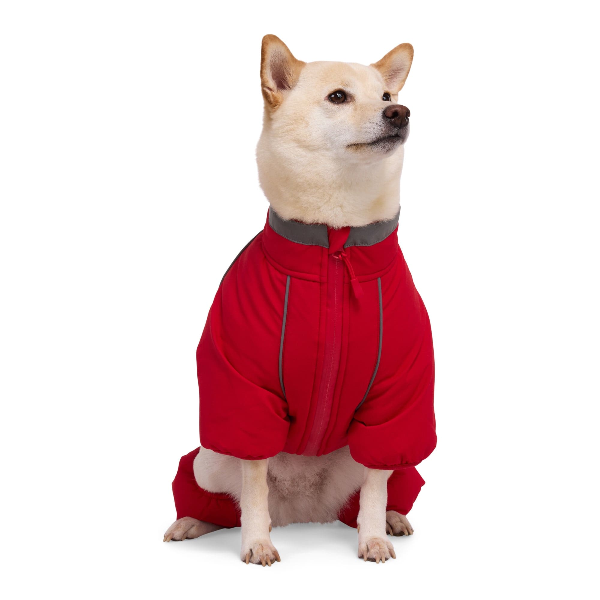 Youly PTY-24121806XXL Dog-Clothing-Acc - View #2
