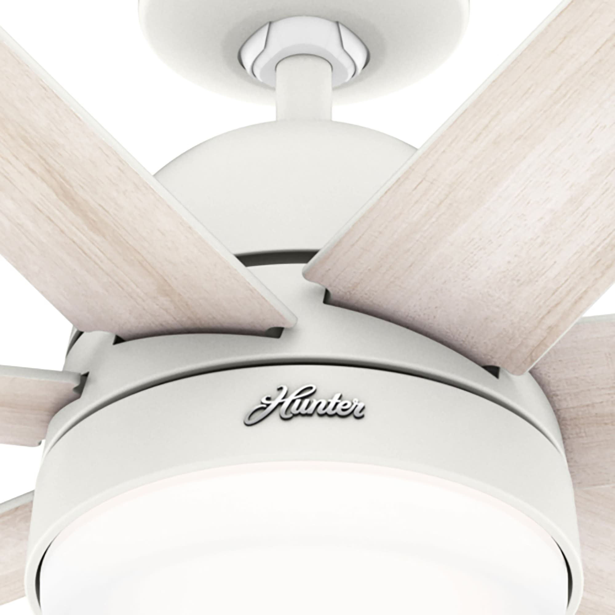 Hunter 51375 Ceiling-Fans - View #13