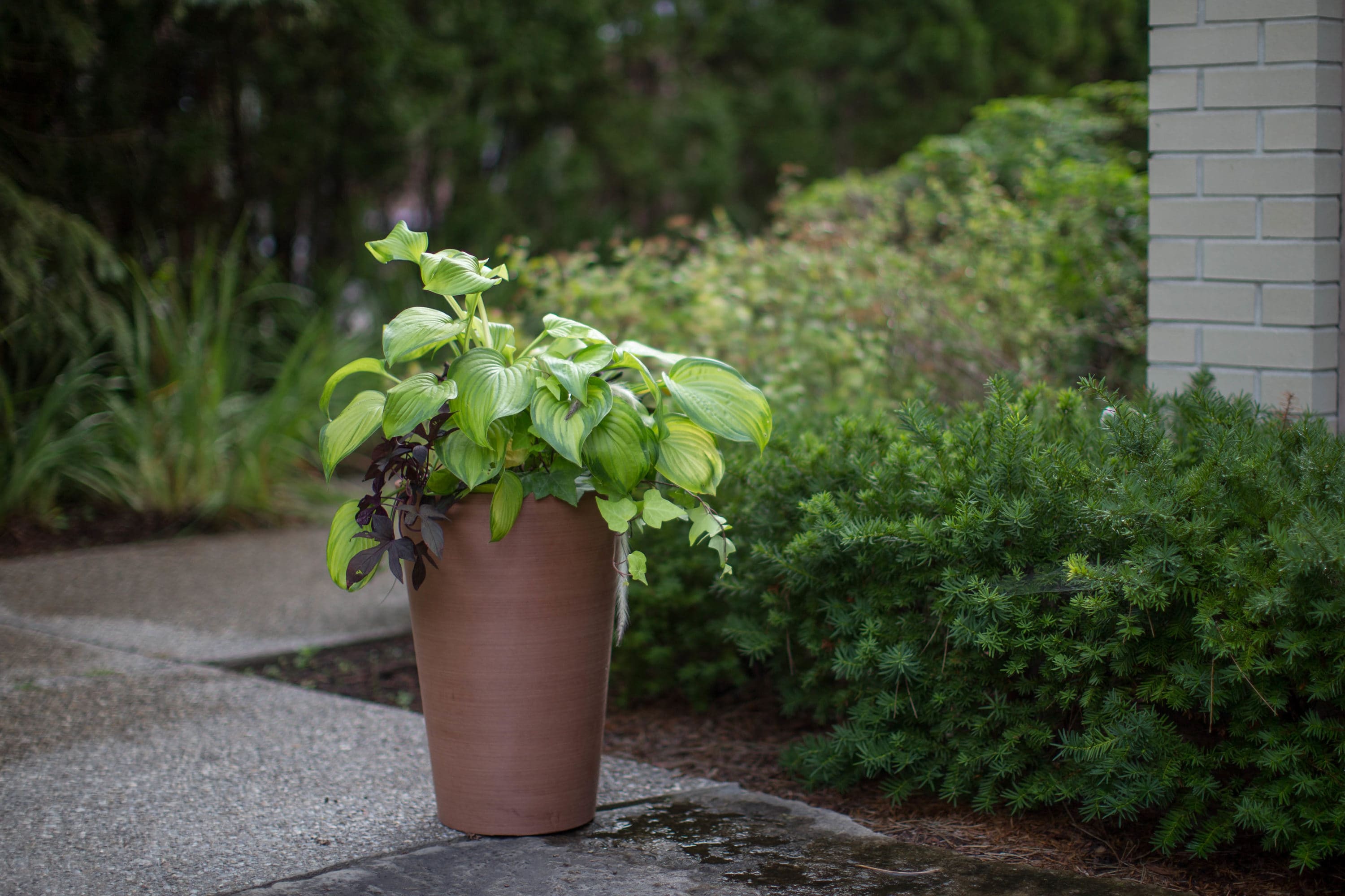 Valencia Textured Terra Cotta 18" Composite Planter Pot