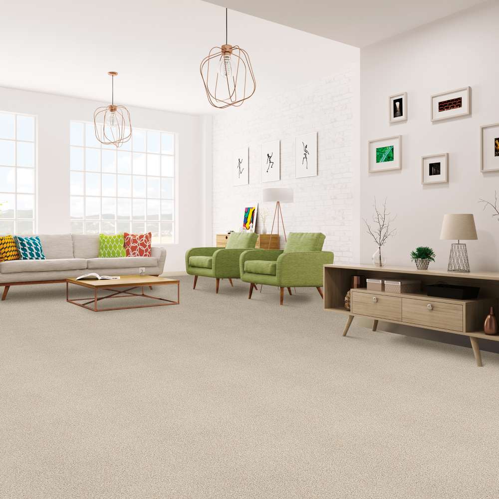 STAINMASTER 7L7980123T Carpet-Panel - View #3