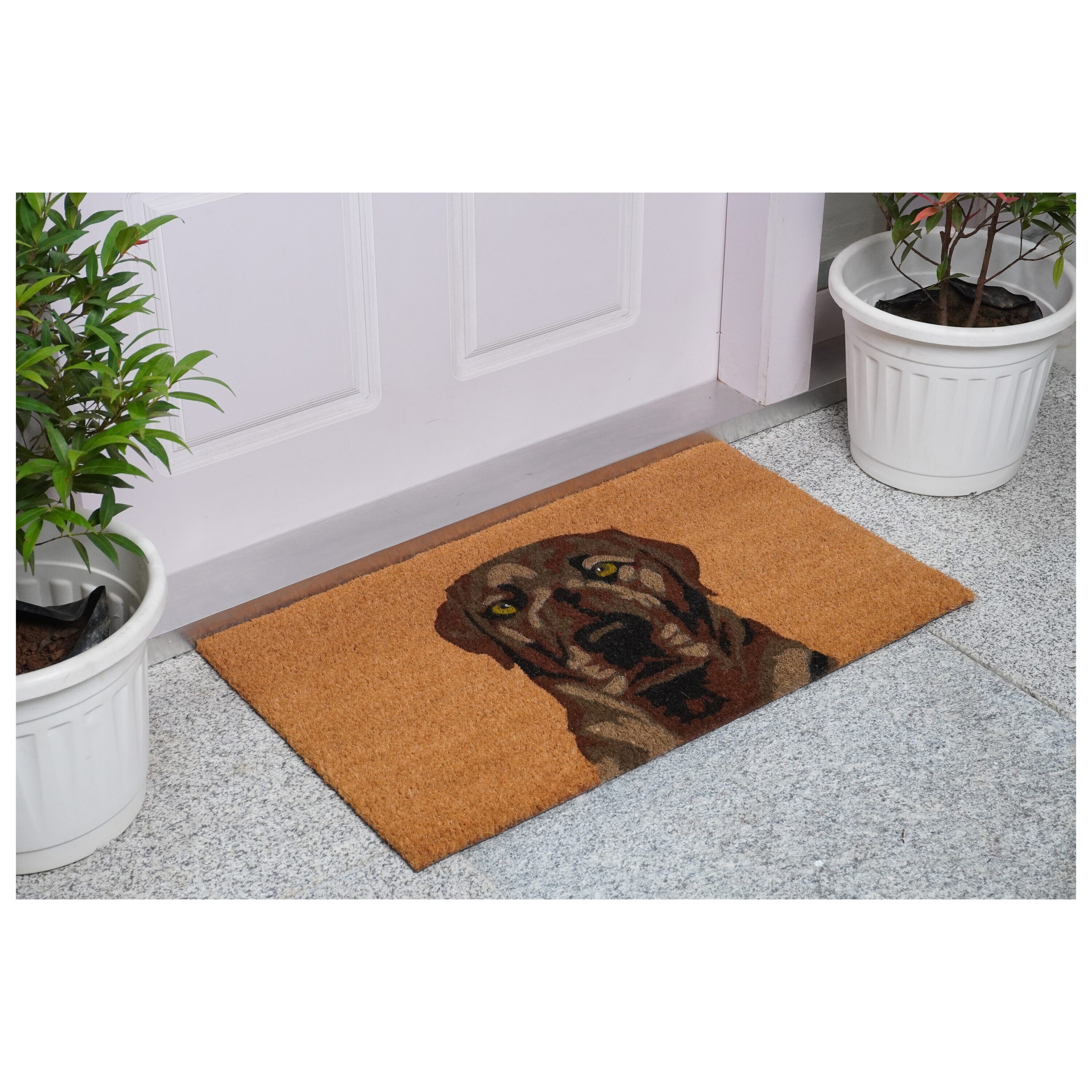 Callowaymills 109471729 Mats-Cat - View #2