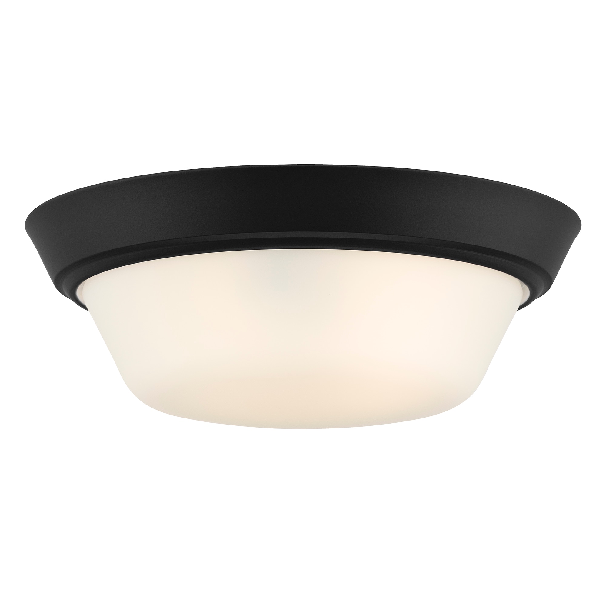 Progress Lighting P350303-031 flushmounts - View #2