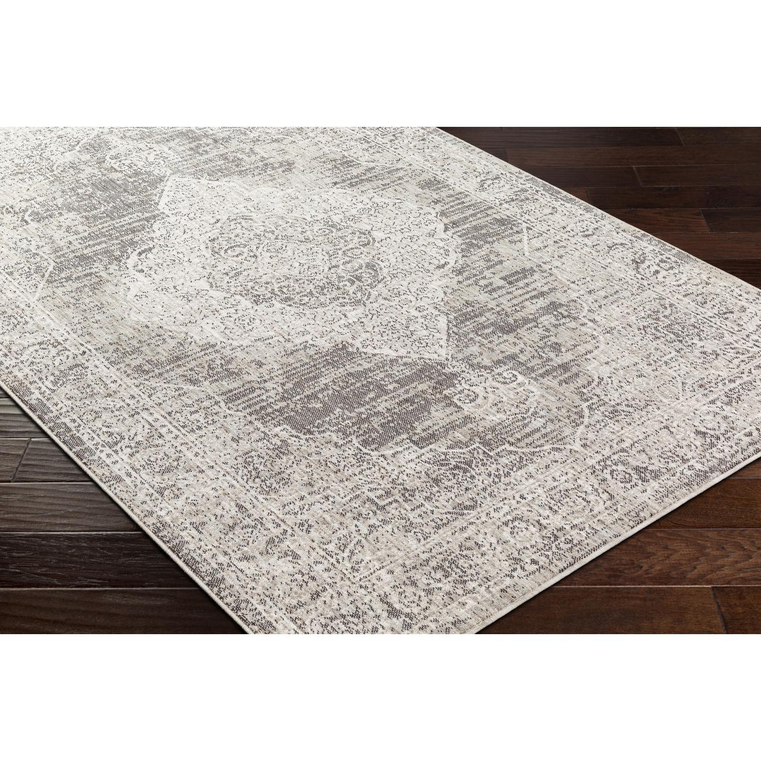 Livabliss JLT2305-71010 rugs - View #4