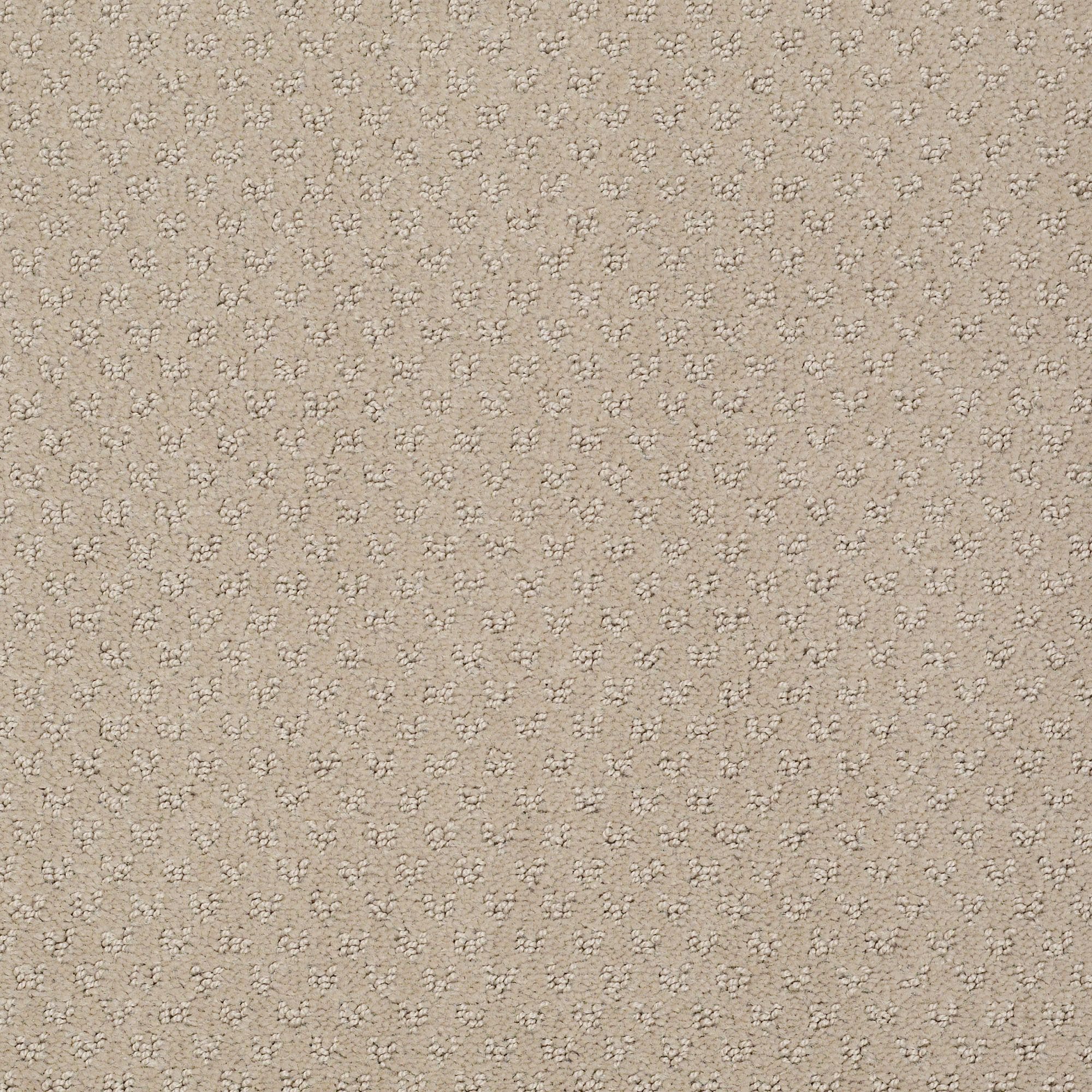 STAINMASTER PetProtect 7L899 - 114 - SAMP (Sample) Pawsitivity Terrazo Brown 29.2-oz sq yard Nylon Pattern Indoor Carpet