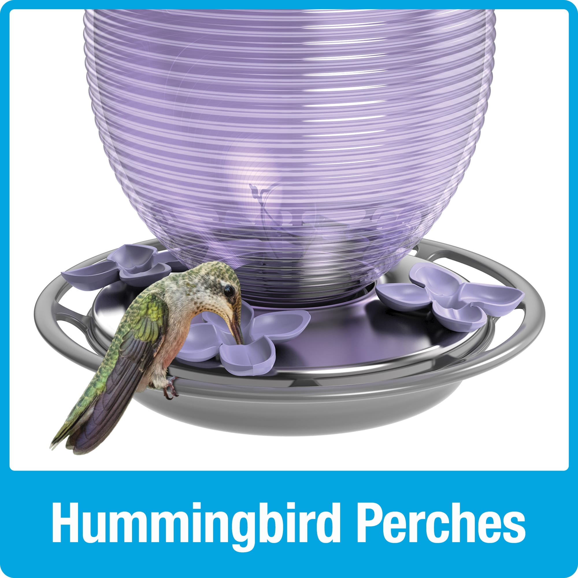 Nature's Way ANTGHF5-IP Bird-Feeders - View #9