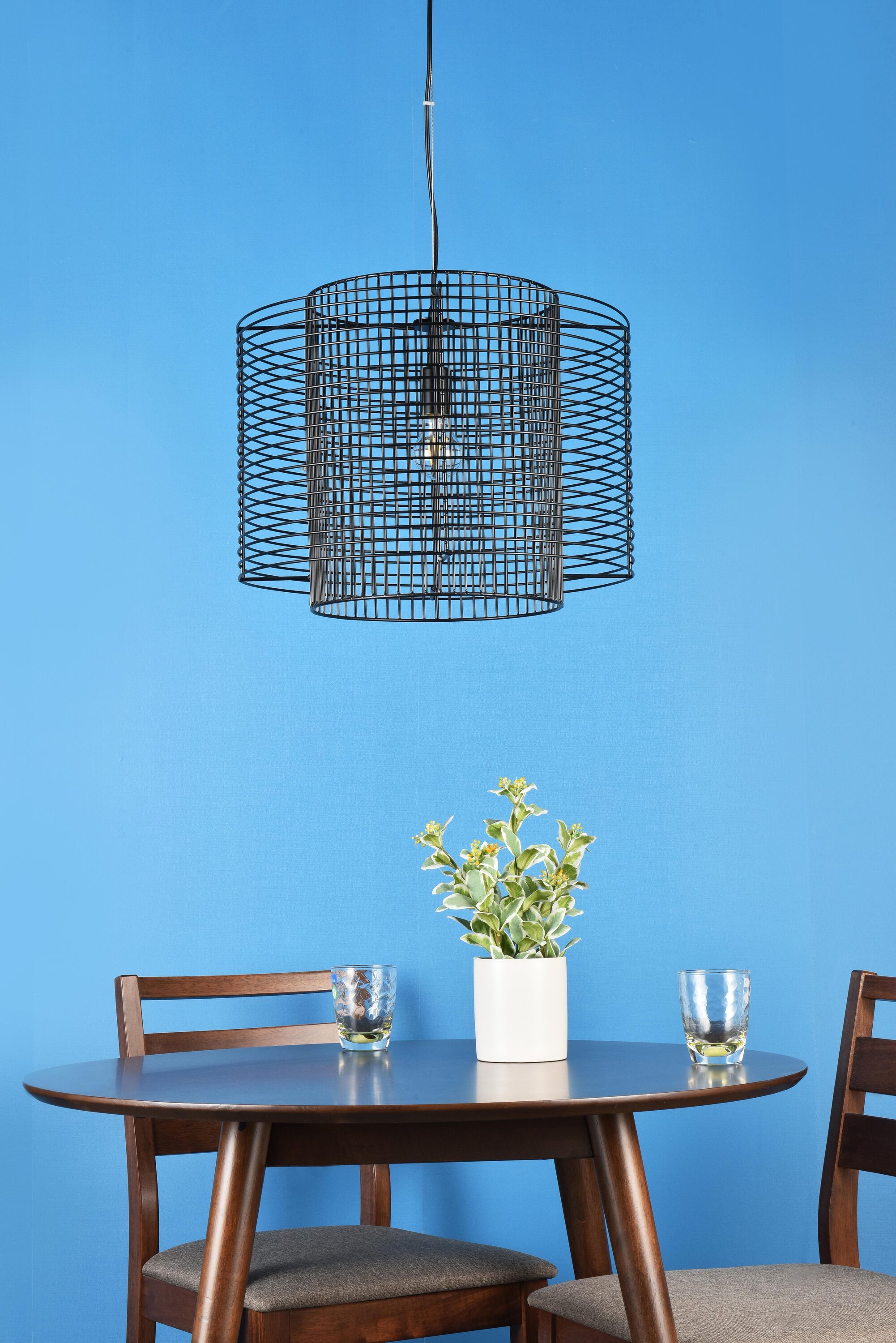 Deleon Black Iron Indoor/Outdoor LED Pendant Light