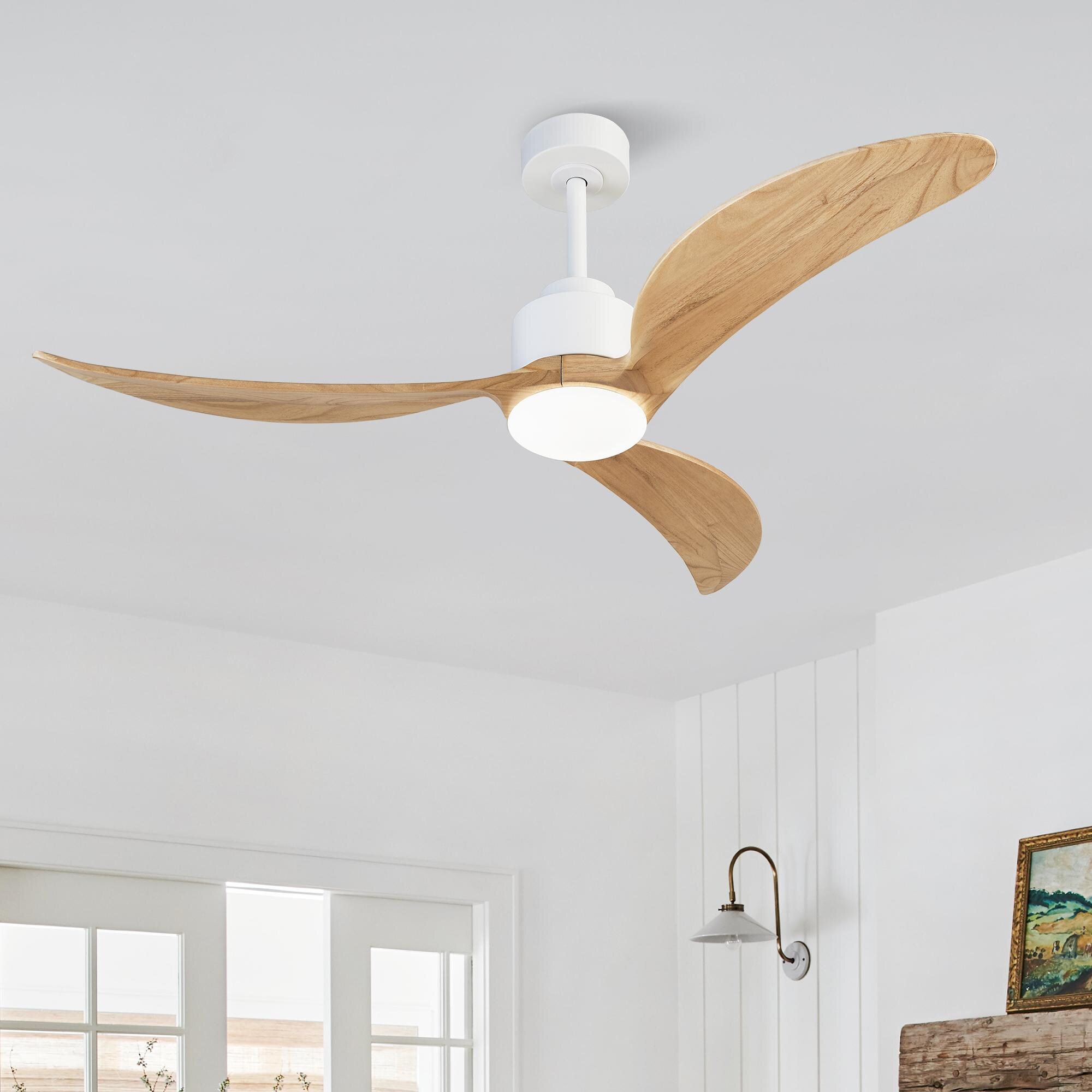 Bayfeve BFHM-9562-CF Ceiling-Fans - View #2