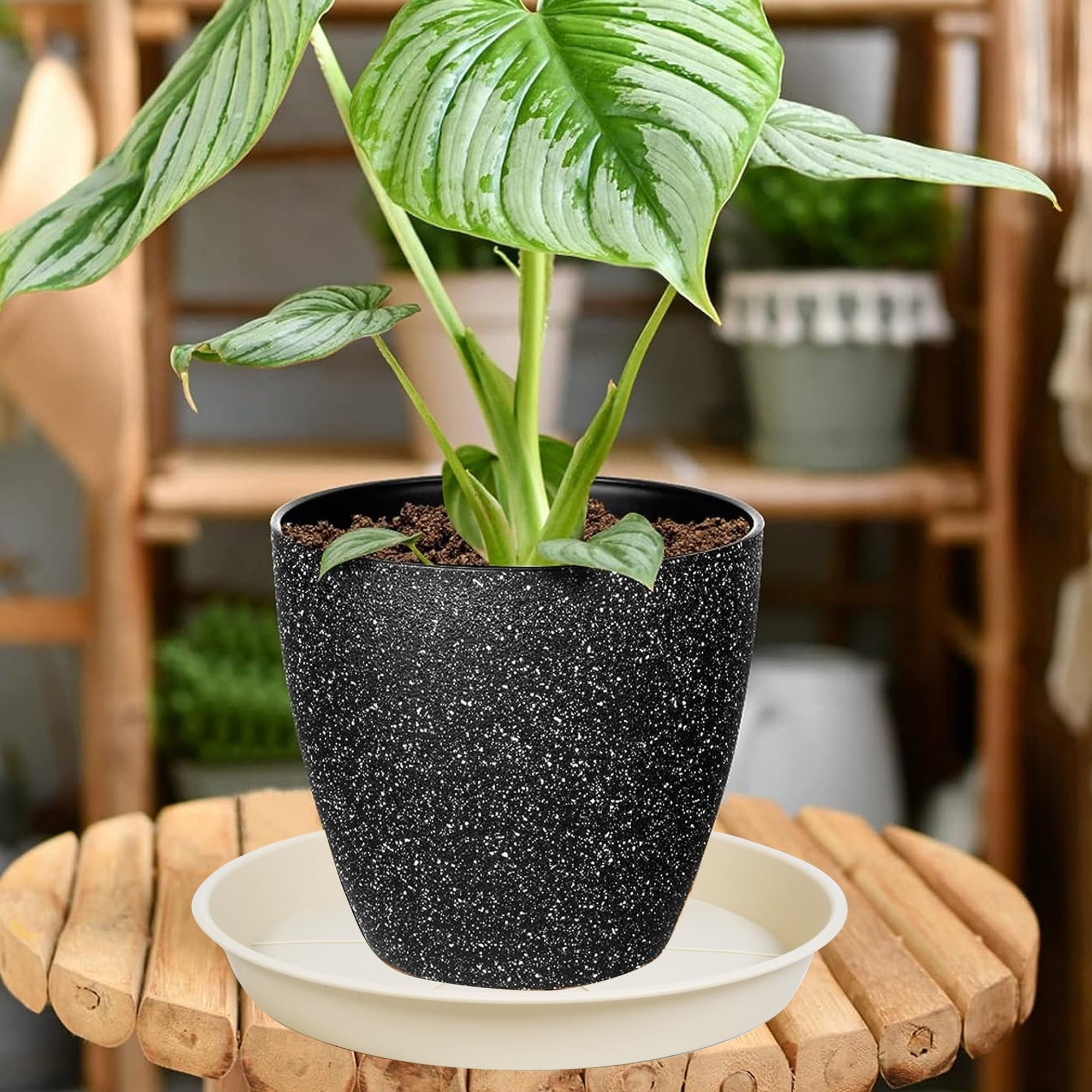 Justincity LJT0524J079 Plant-Saucers - View #4