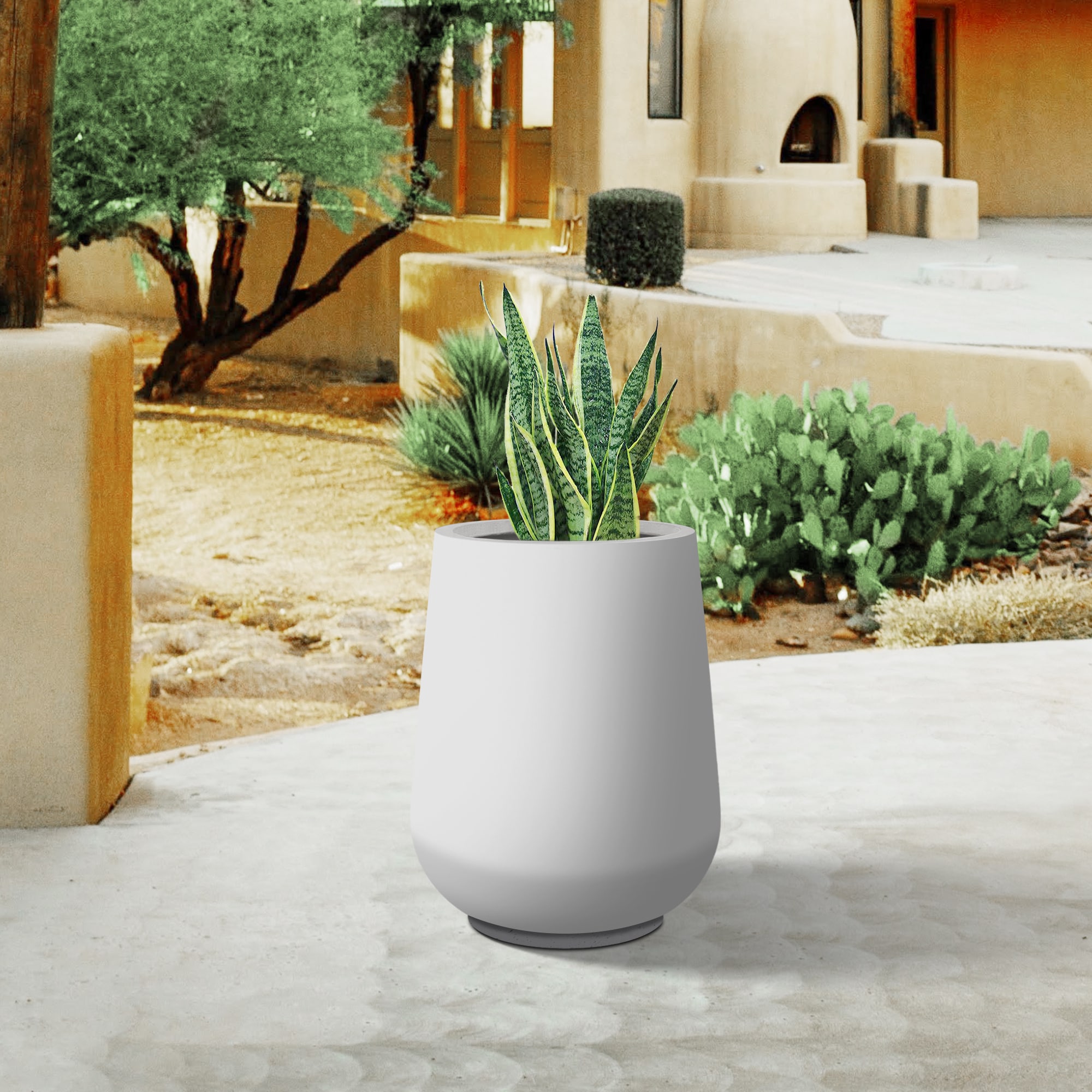 PLANTARA PA1523C-8011 Planter-Window-Box - View #6