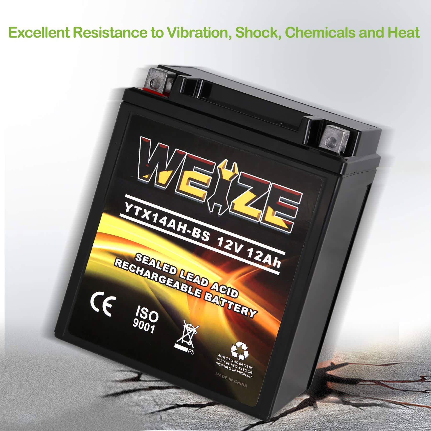 WEIZE YTX-14AH-TP Power-Equipment-Batteries - View #6