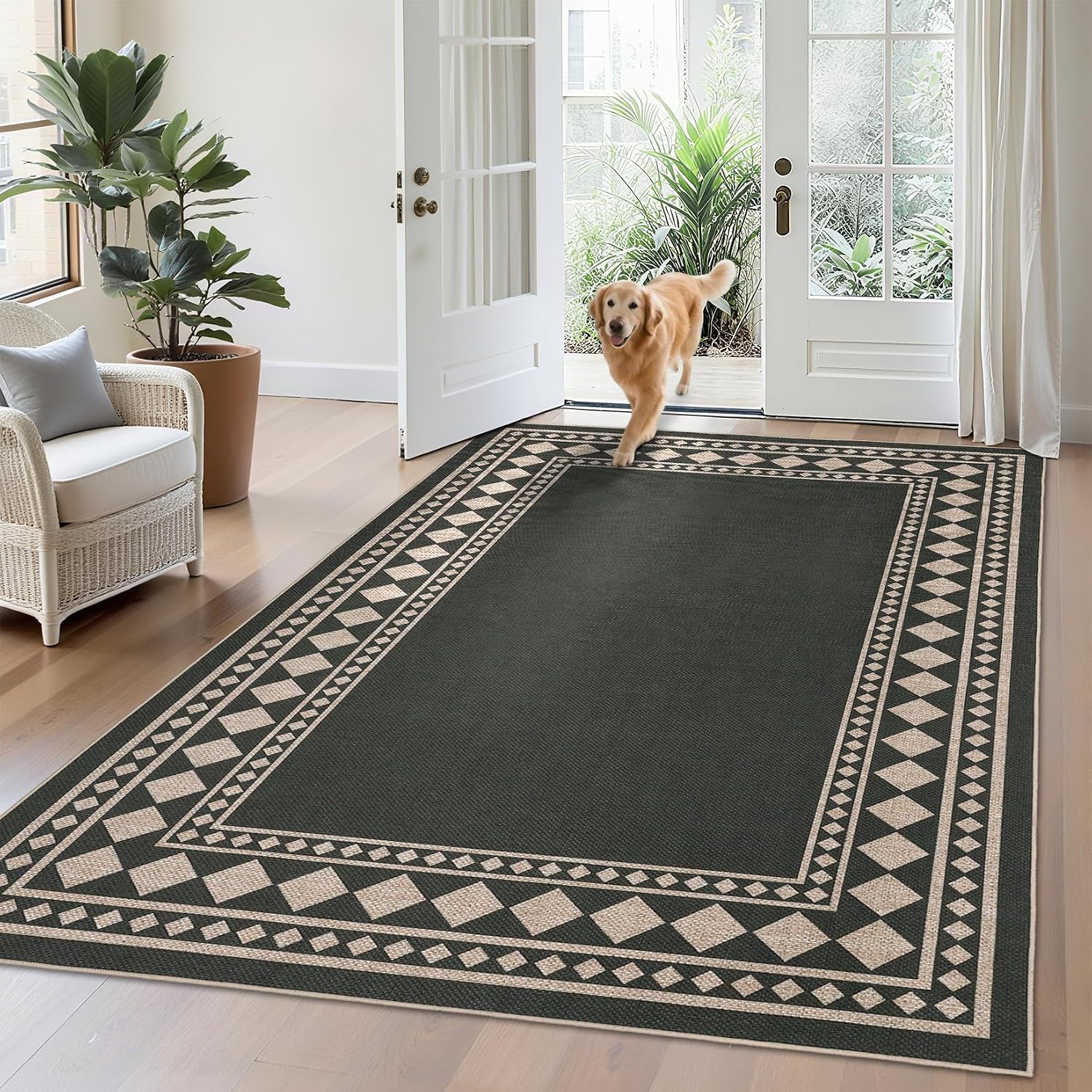 GAOMON CQC-NPXGZ2ZT62T rugs - View #3