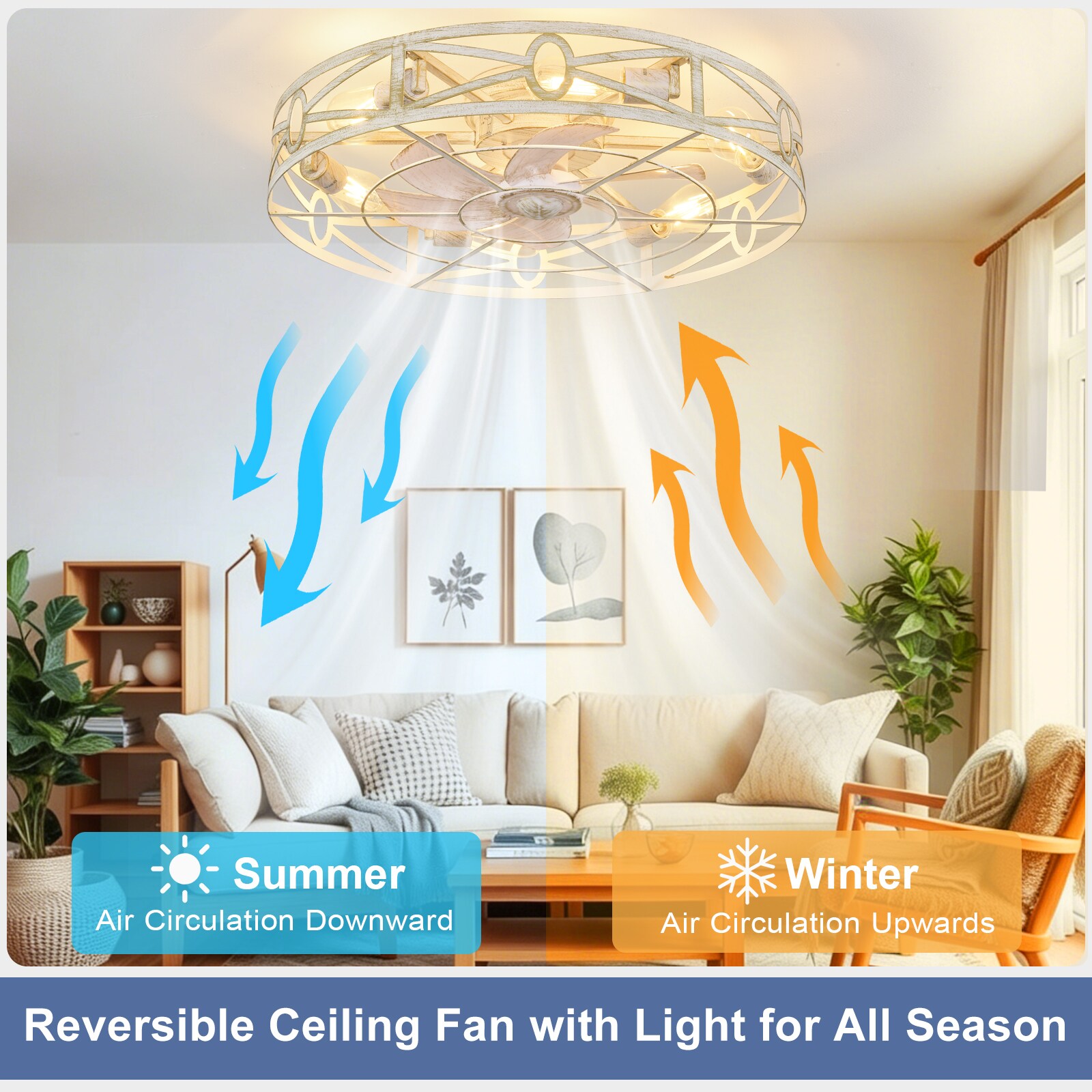 Dovanpaul 216-24C-CG-LW Ceiling-Fans - View #3