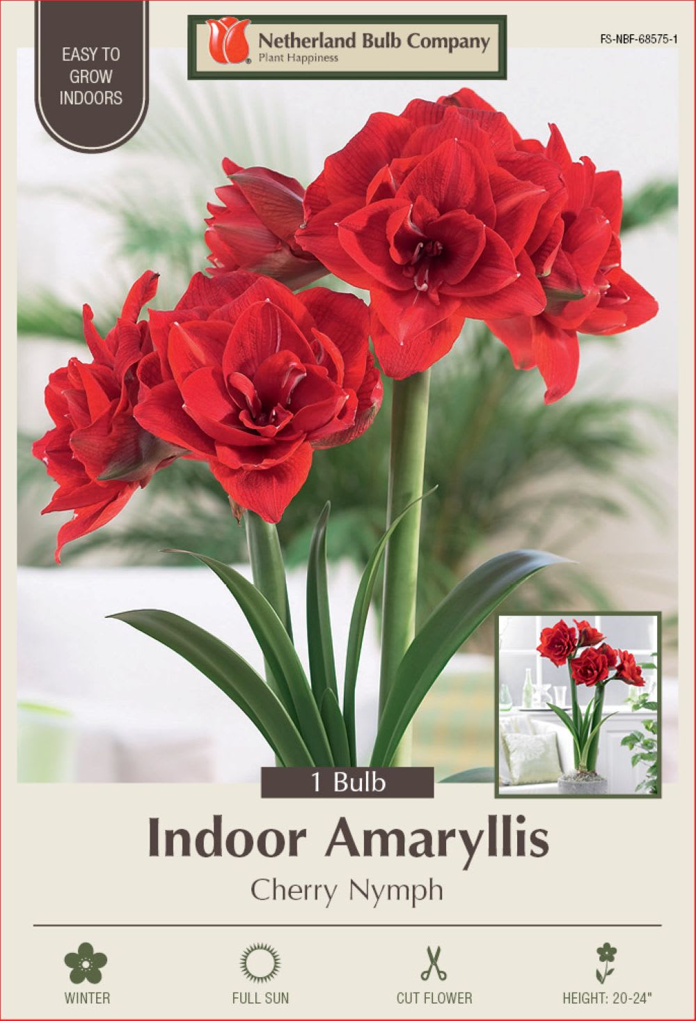 Cherry Nymph Amaryllis Bulb Plants, Bulbs & Seeds at Lowes.com