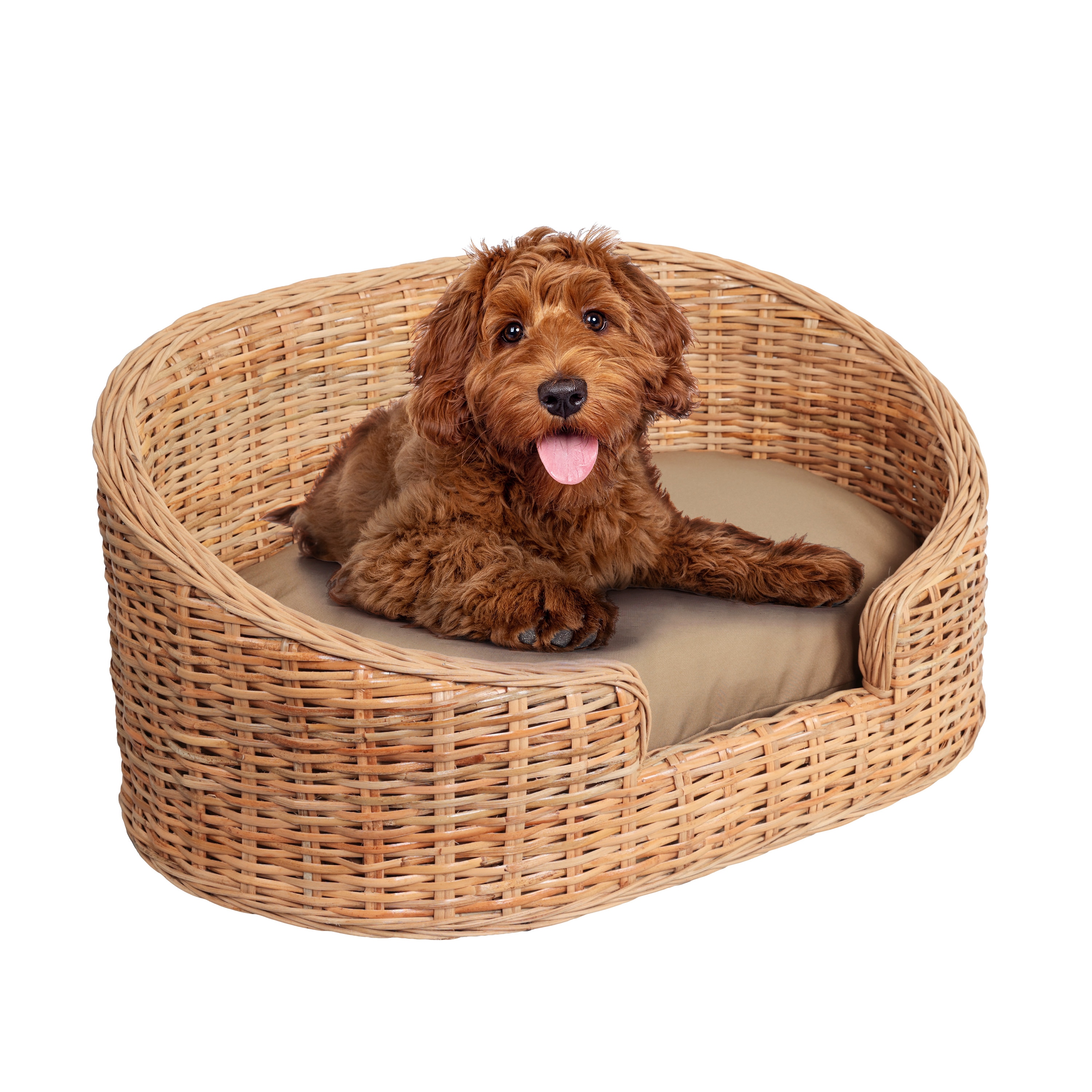 The Licker Store Curvy 33 in. x 21.25 in. Classic Handwoven Water Hyacinth Pet Bed with Machine-Washable Cushion - Light Brown