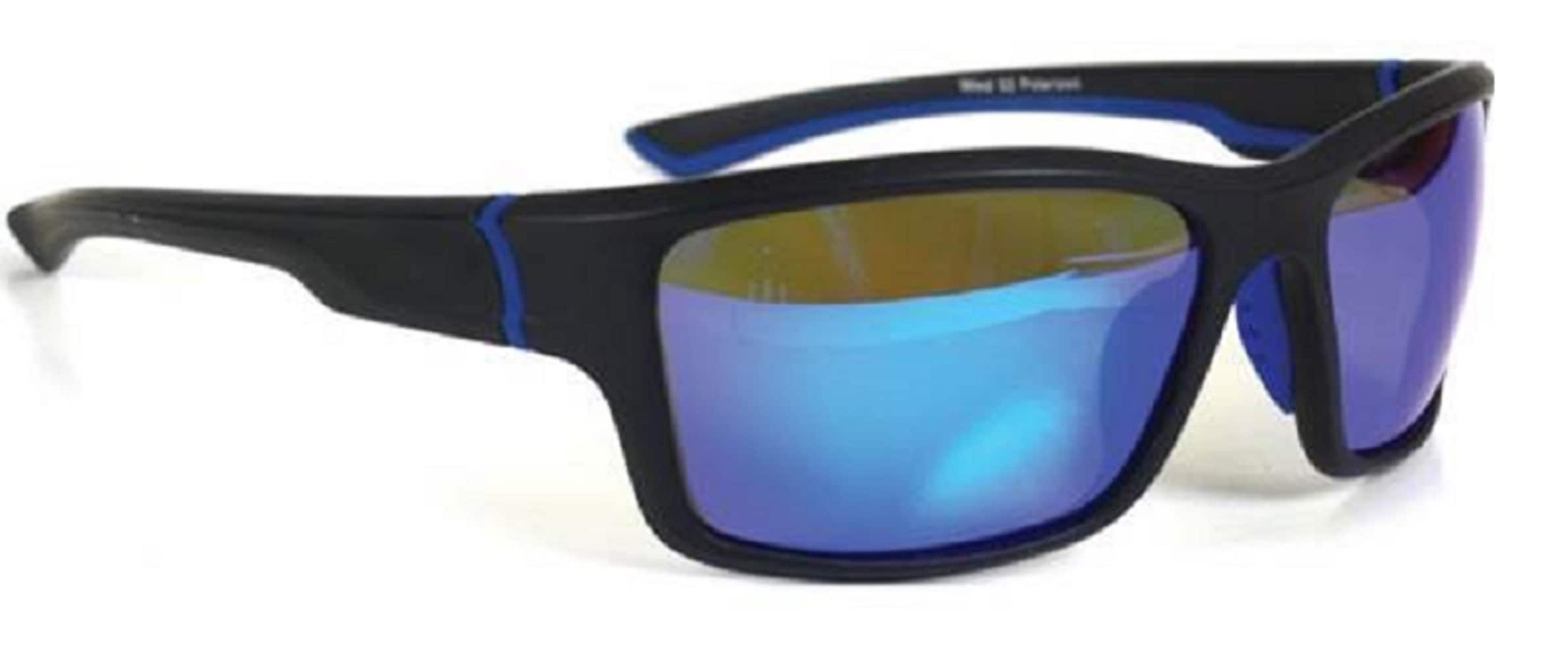 Hillman Adult Unisex Blue Plastic Sunglasses in the Sunglasses & Glasses  department at