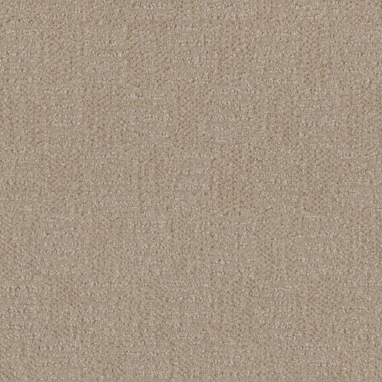 STAINMASTER L5006-6006-0808 (Sample) Steph Tan 35-oz sq yard Solution-dyed Polyester Pattern Indoor Carpet