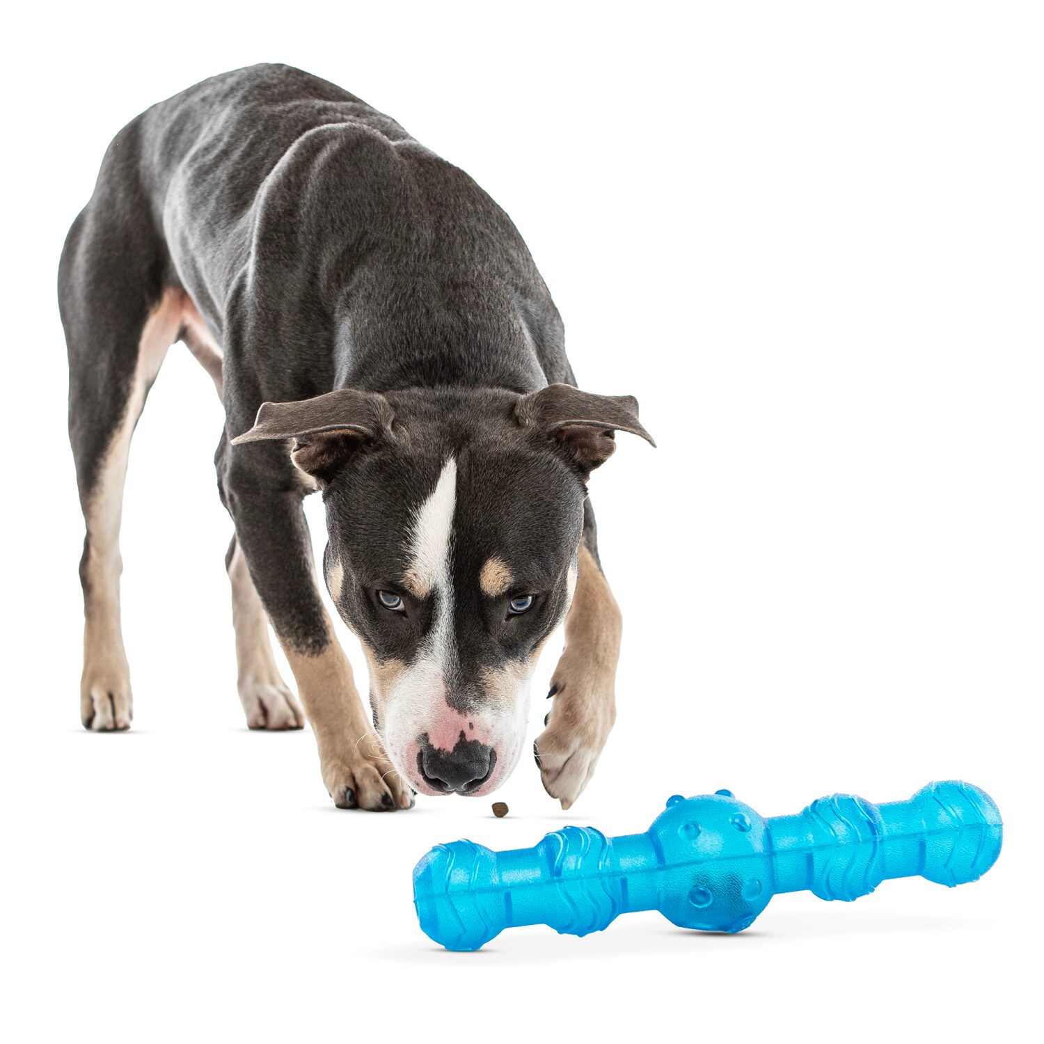 GURU G0850050756286 Dog-Toys - View #3