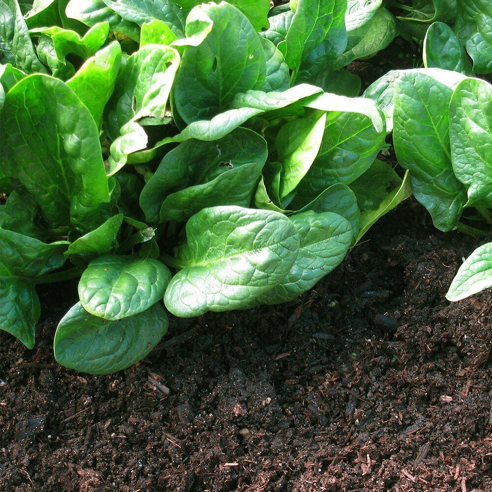Living Earth 600174 Garden-Soil-Soil-Amendments - View #2