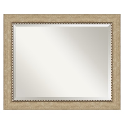 Astor Champagne Mirrors at Lowes.com