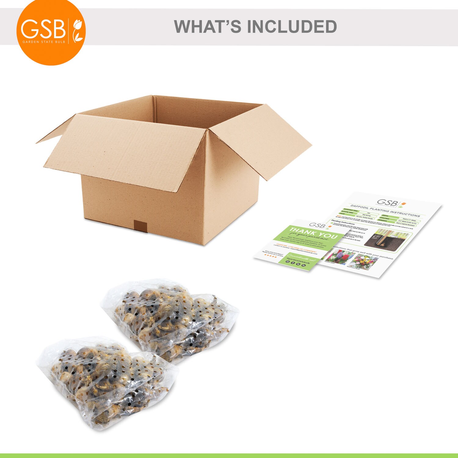 Garden State Bulb ECF-111-50-02 Plant-Bulbs - View #7