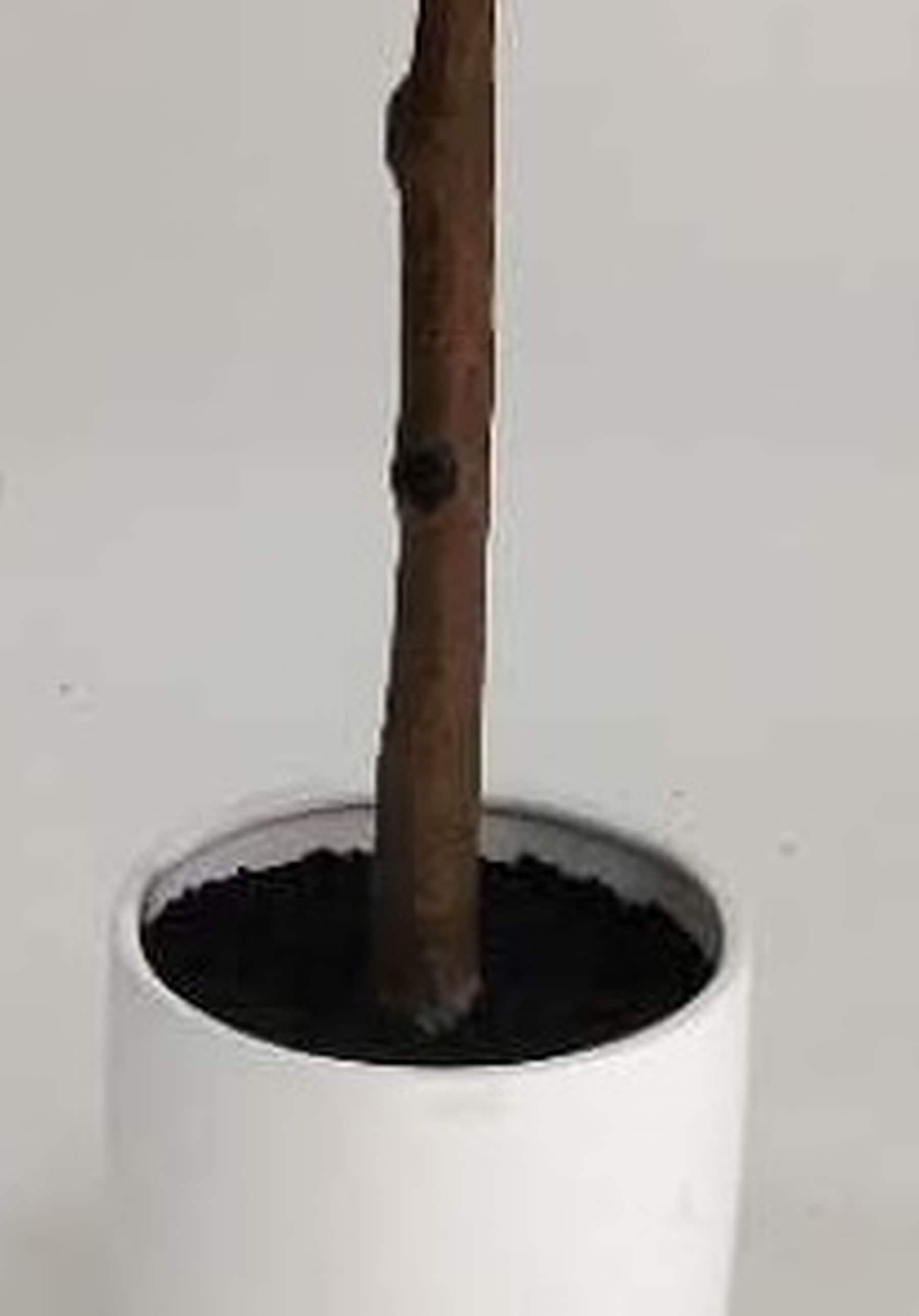 allen + roth 19LOW265R1 Artificial-Plants-Trees - View #5