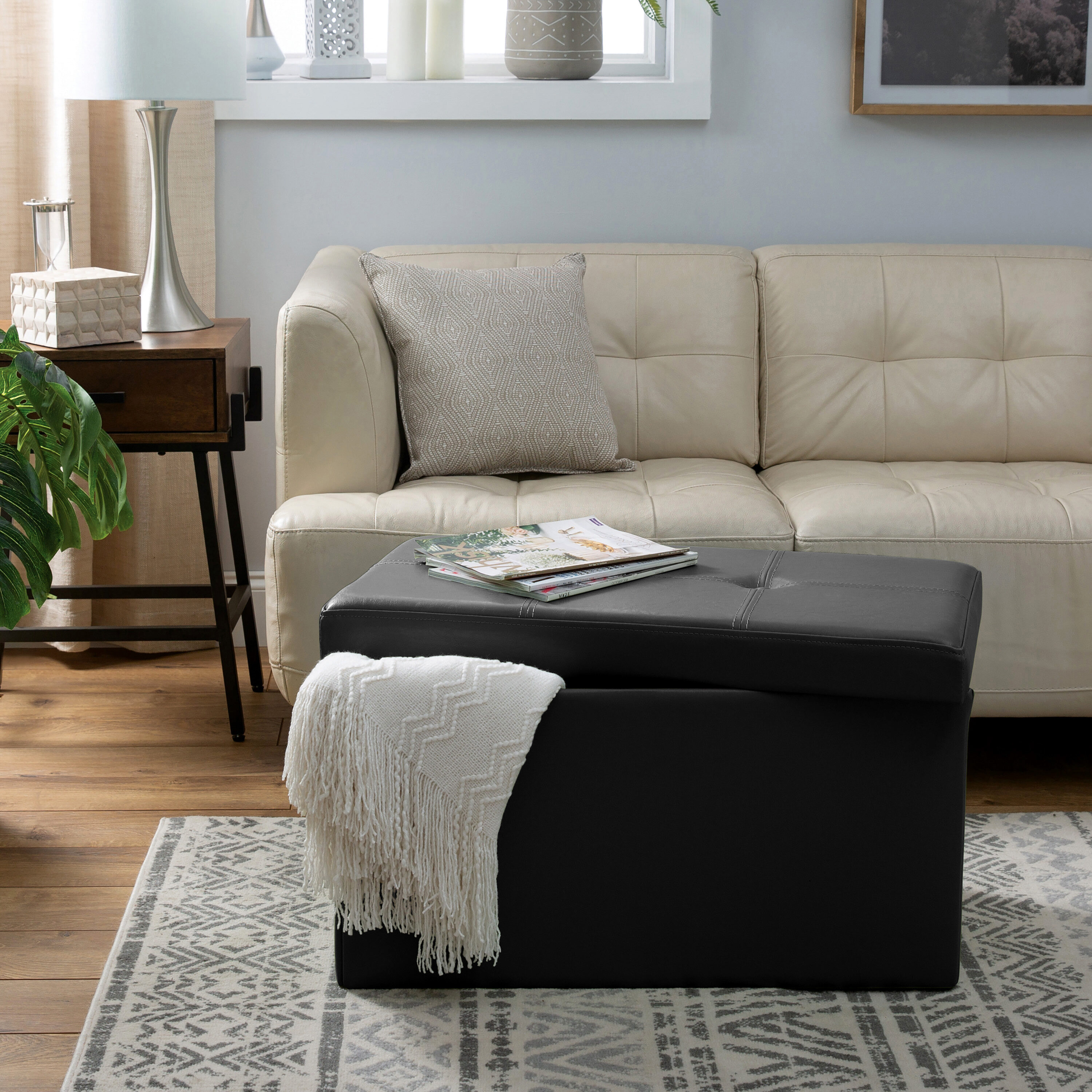 Simplify F-0630-BLACK Indoor-Ottomans - View #2