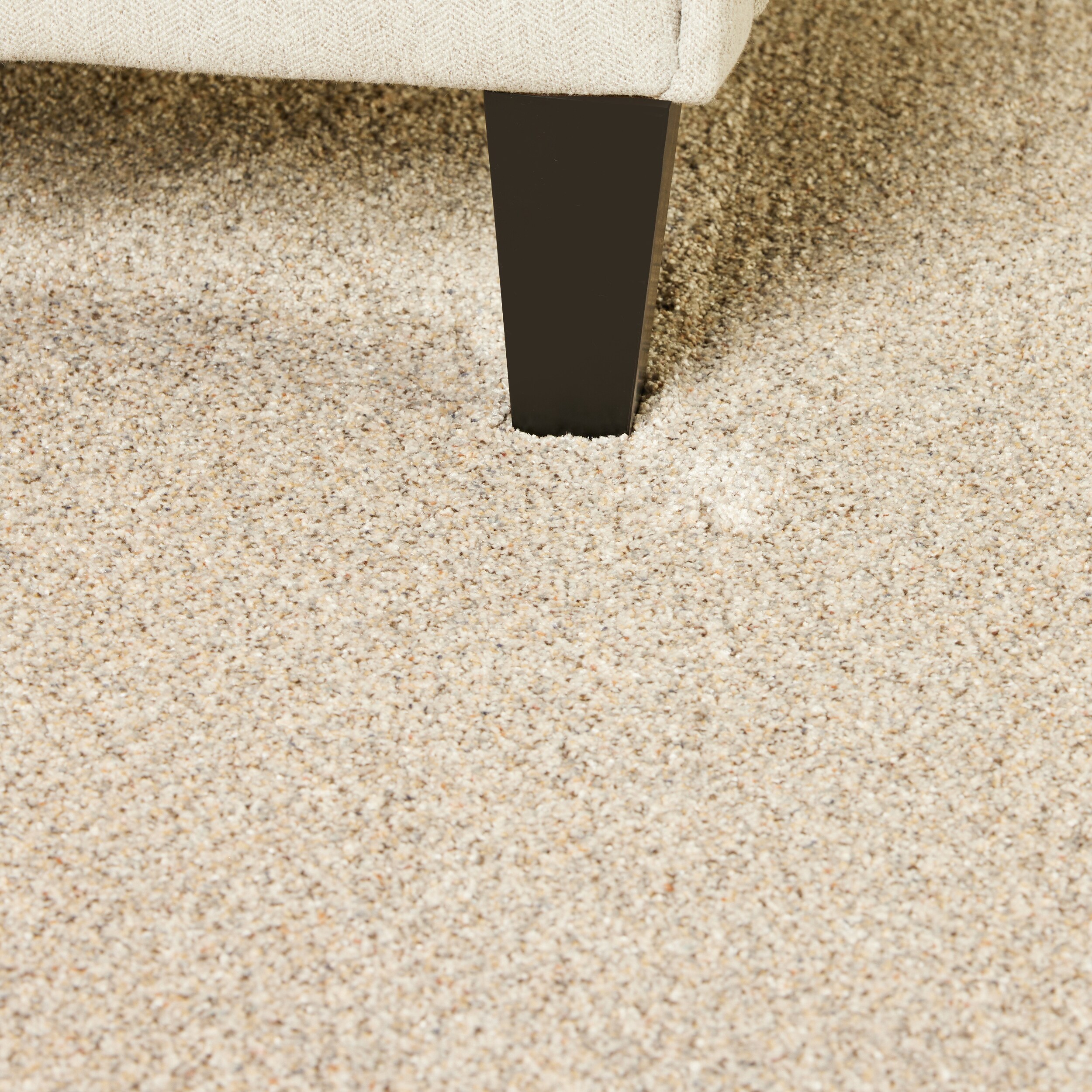 STAINMASTER S9275-859-1200-MO Carpet-Panel - View #4