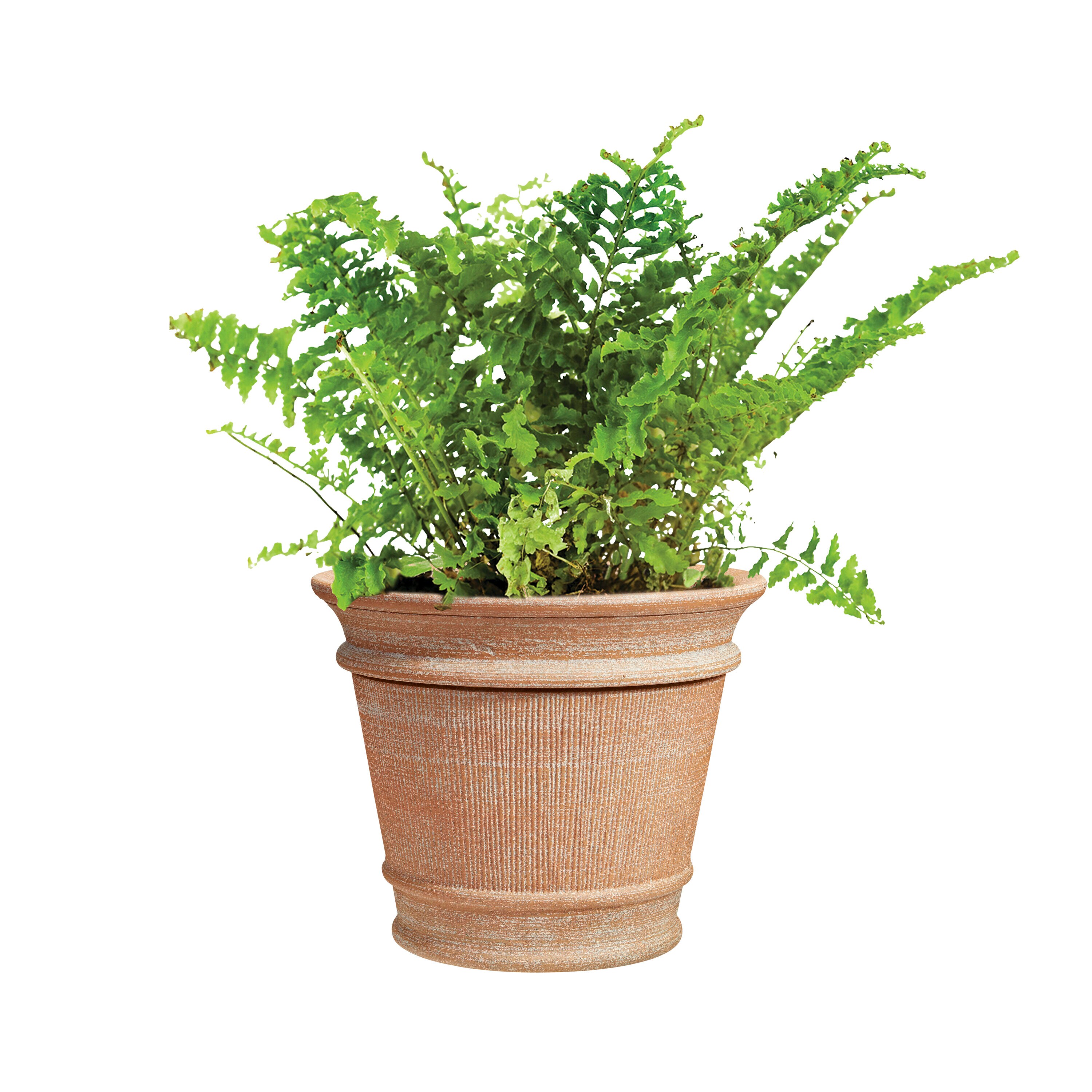 allen + roth US063687 Planter-Window-Box - View #9
