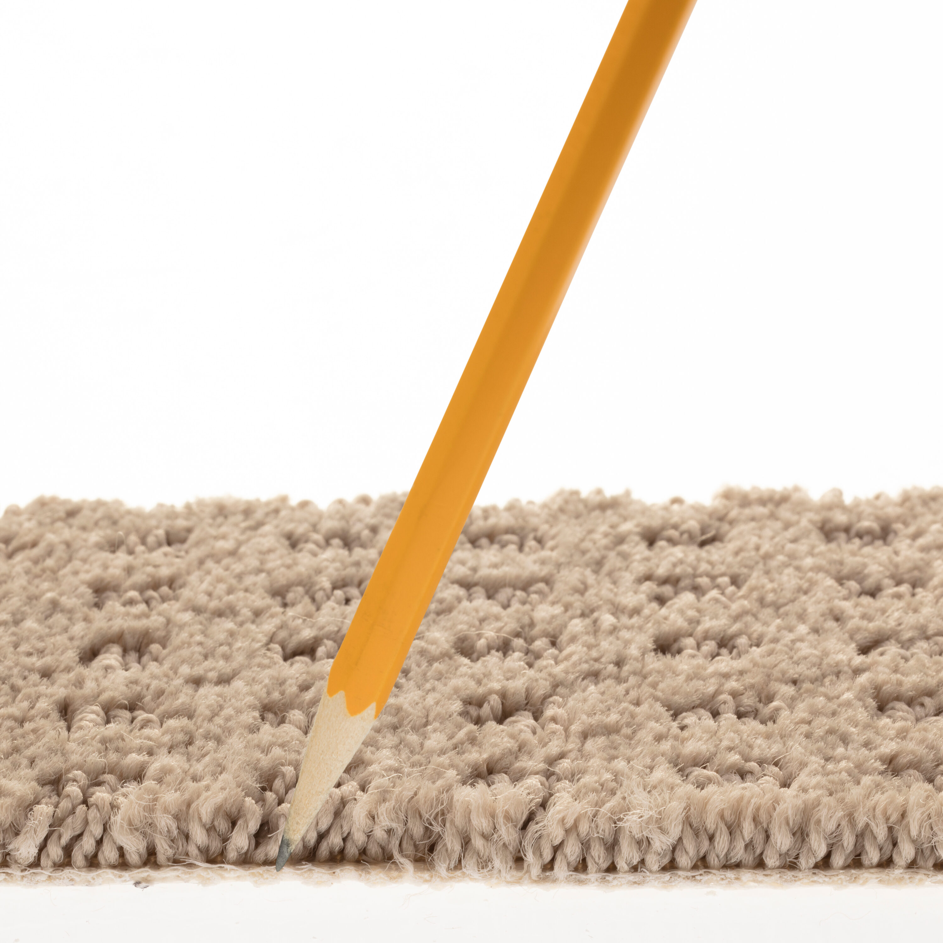 STAINMASTER PetProtect 7L898 - 752 - SAMP Carpet-Samples - View #7