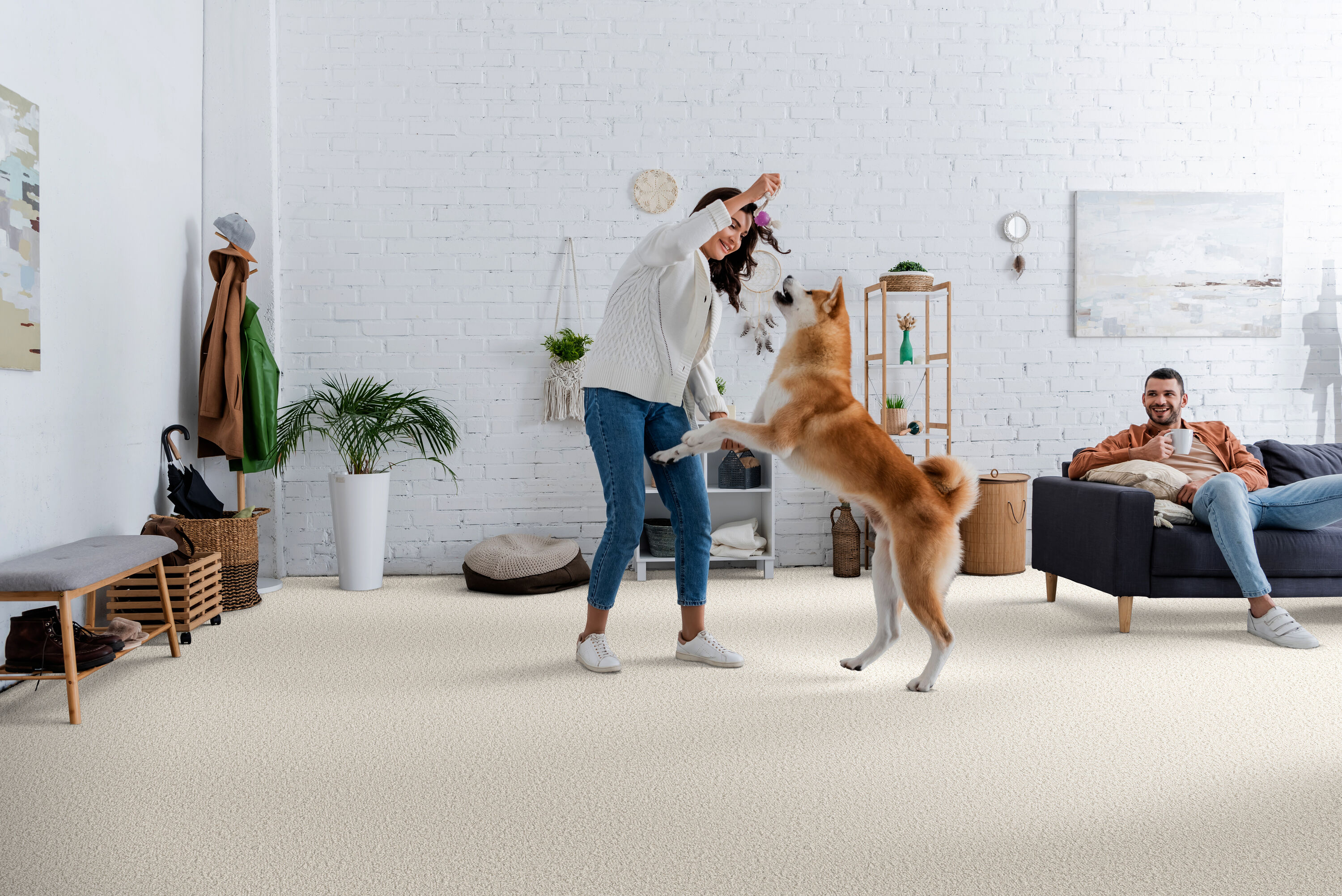STAINMASTER PetProtect 7L88400102 Carpet-Panel - View #3