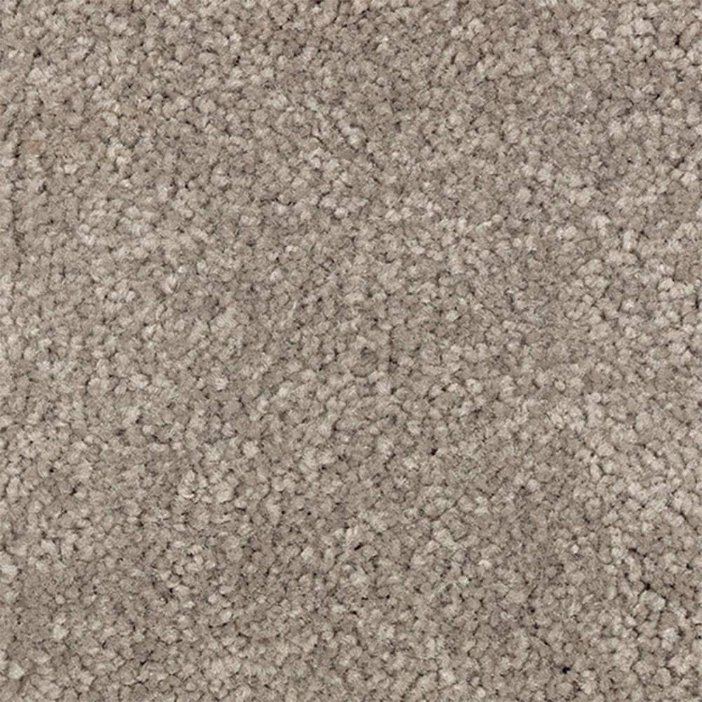 STAINMASTER STP69-L013-0808 (Sample) Serenity Stride III Uptown Taupe Brown 70-oz sq yard Polyester Textured Indoor Carpet