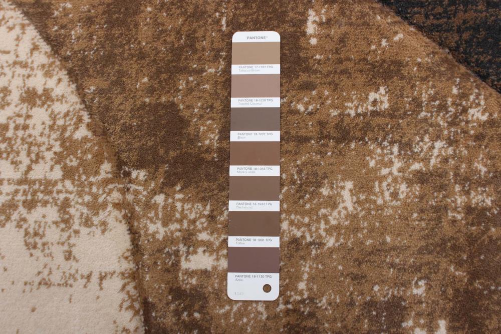 ECARPETGALLERY 351794 rugs - View #8
