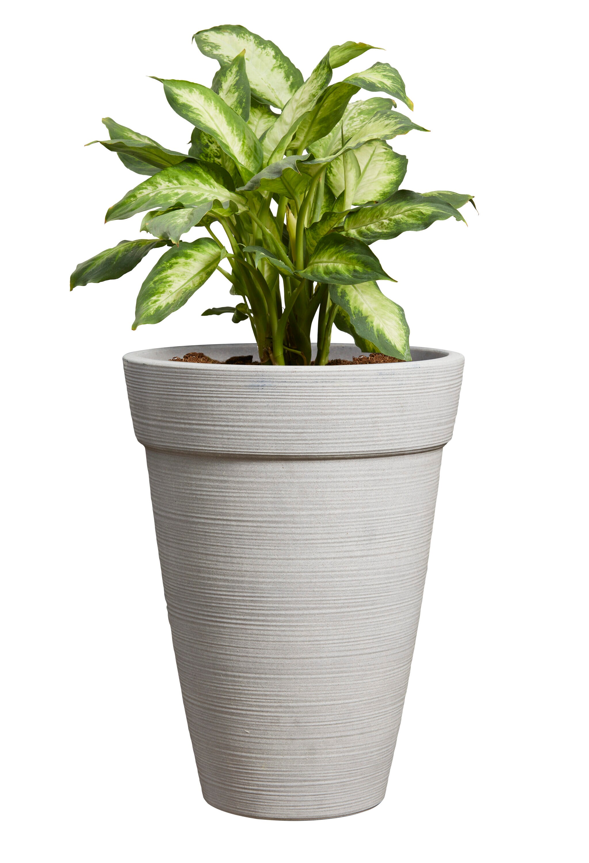 allen + roth US630594 Planter-Window-Box - View #9