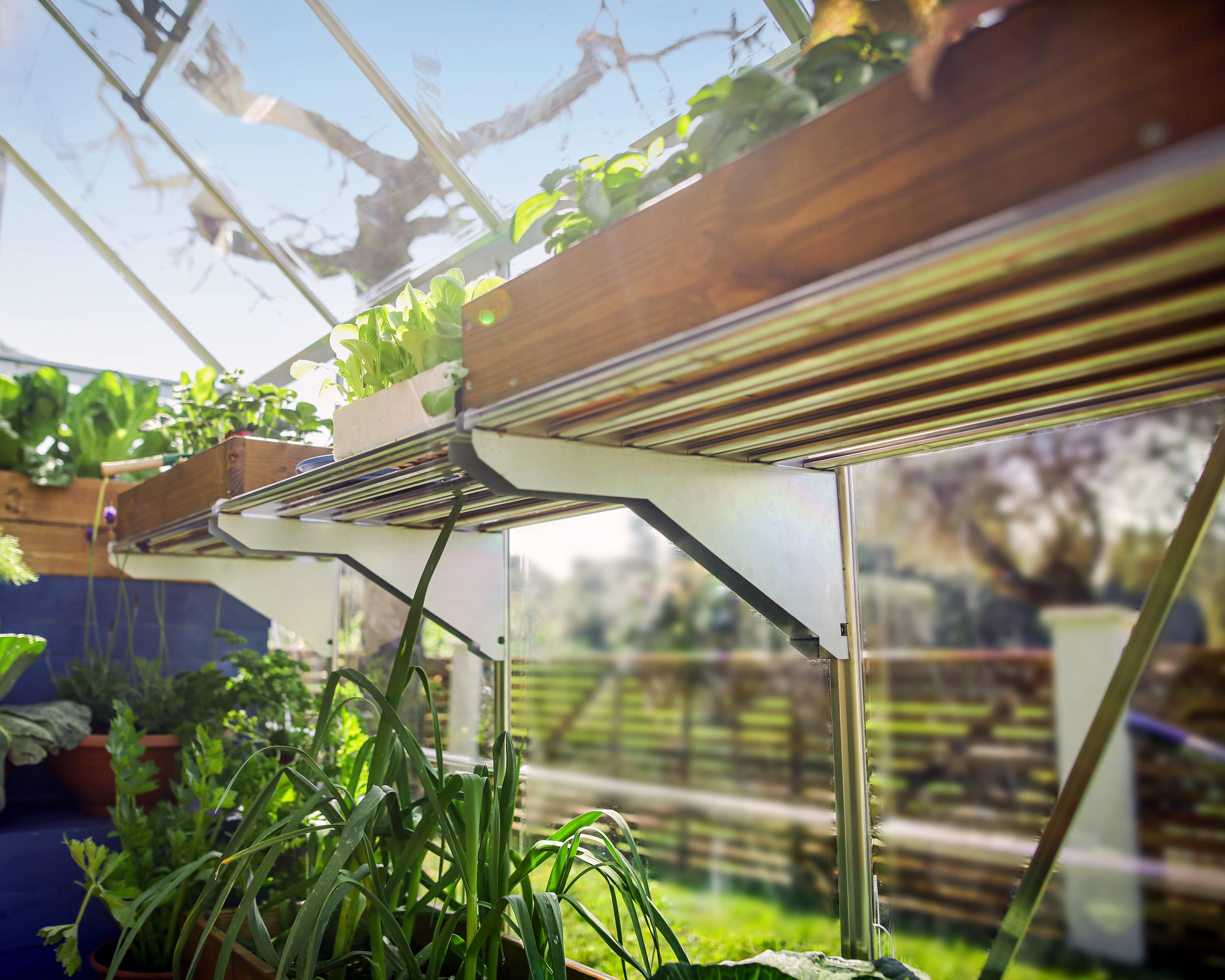 Canopia by Palram 702437 Greenhouse-Vent-Openers - View #16