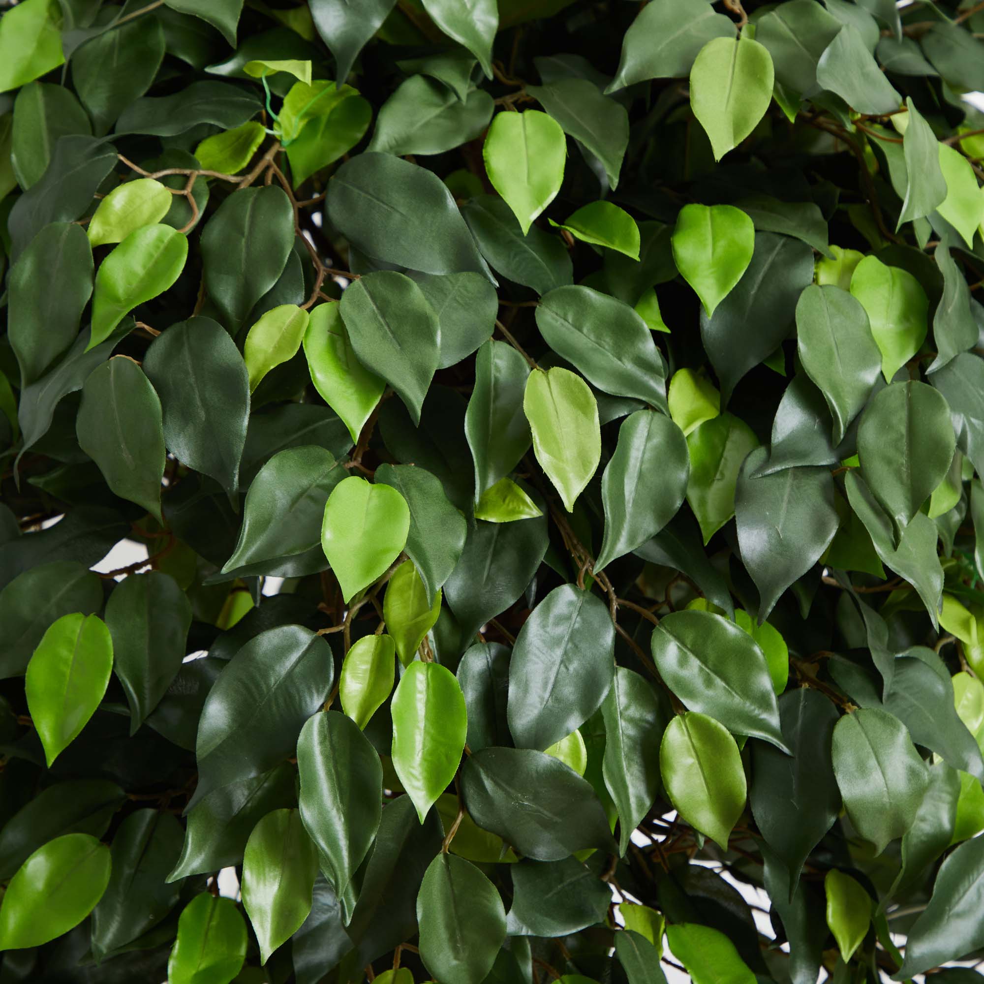 Nearly Natural 5572 Artificial-Plants-Trees - View #3