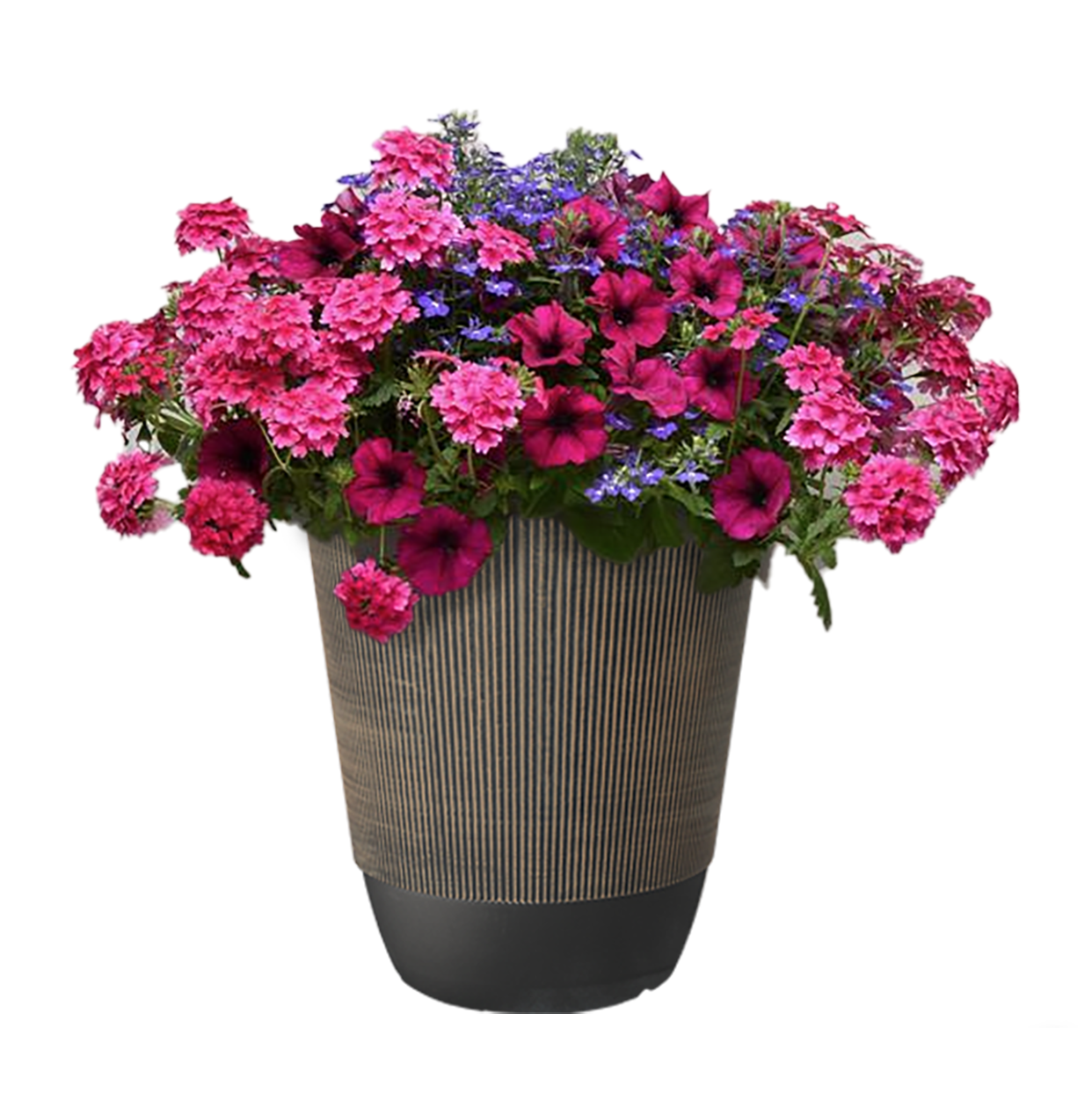 Lowe's NURSERY Multicolor Mixed Annuals Combinations in 3-Gallon Planter