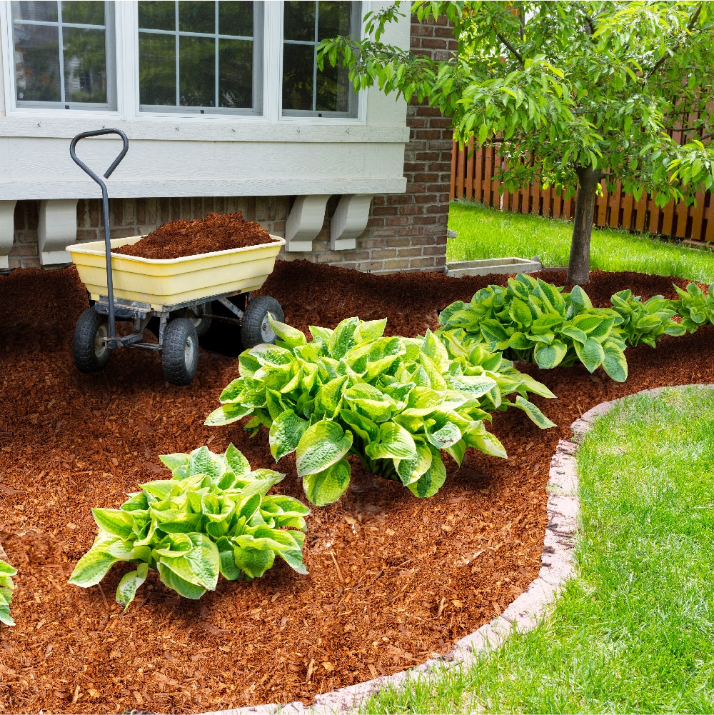  M1FLOR-A-75 Bagged-Mulch - View #17