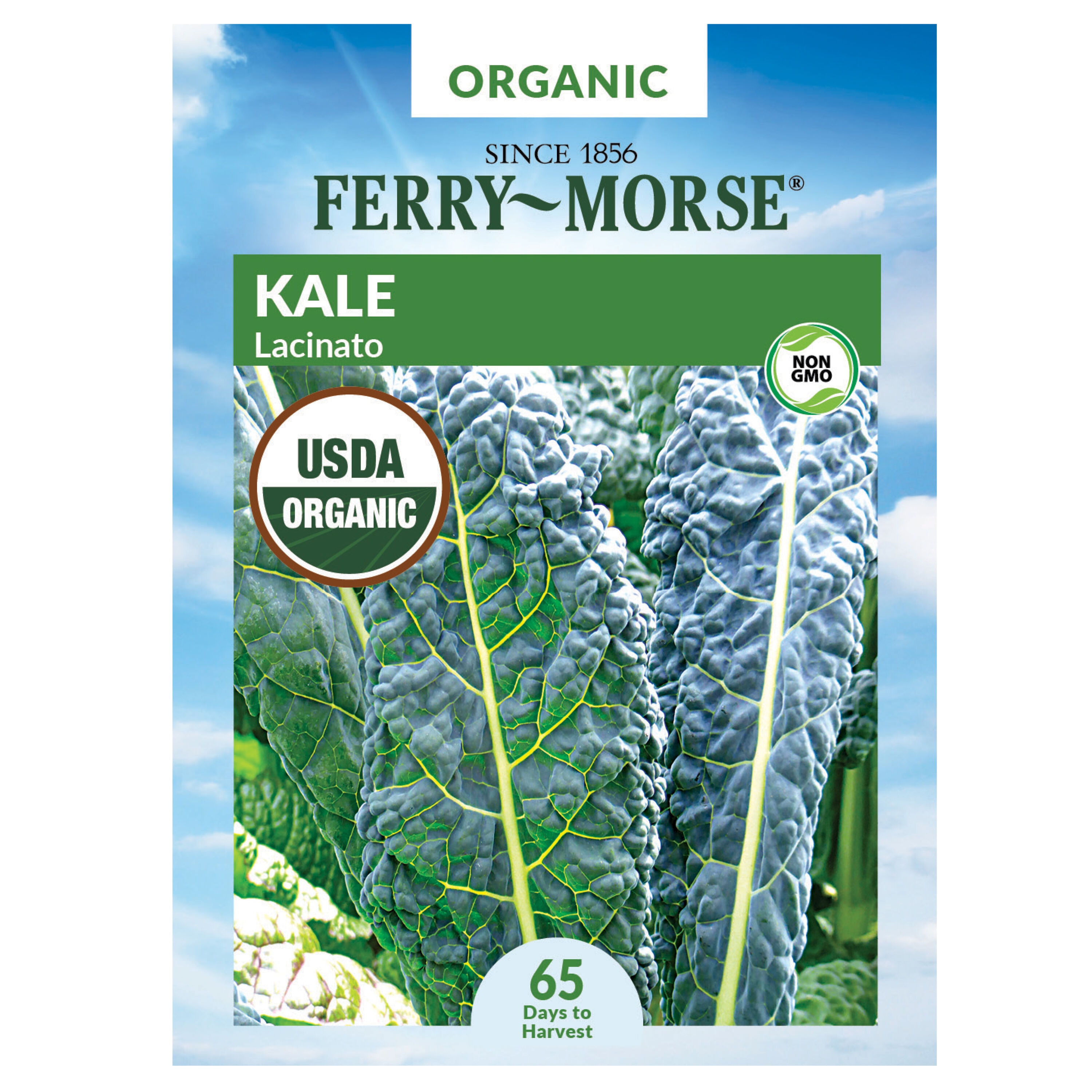 Ferry-Morse 913979.299.643845 Organic Kale Lacinato Organic Vegetable Seeds 1.1 Gram(s)