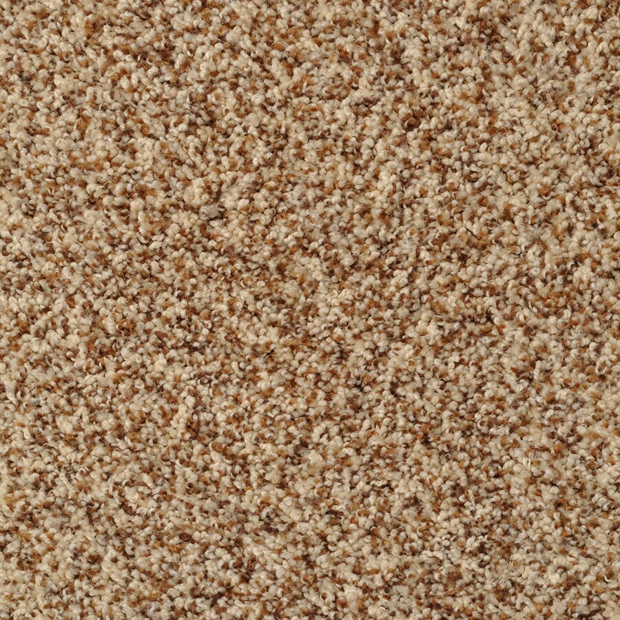 STAINMASTER S516767FRENCH T-DWAY (Sample) Active Family On Broadway French Toast Textured Carpet