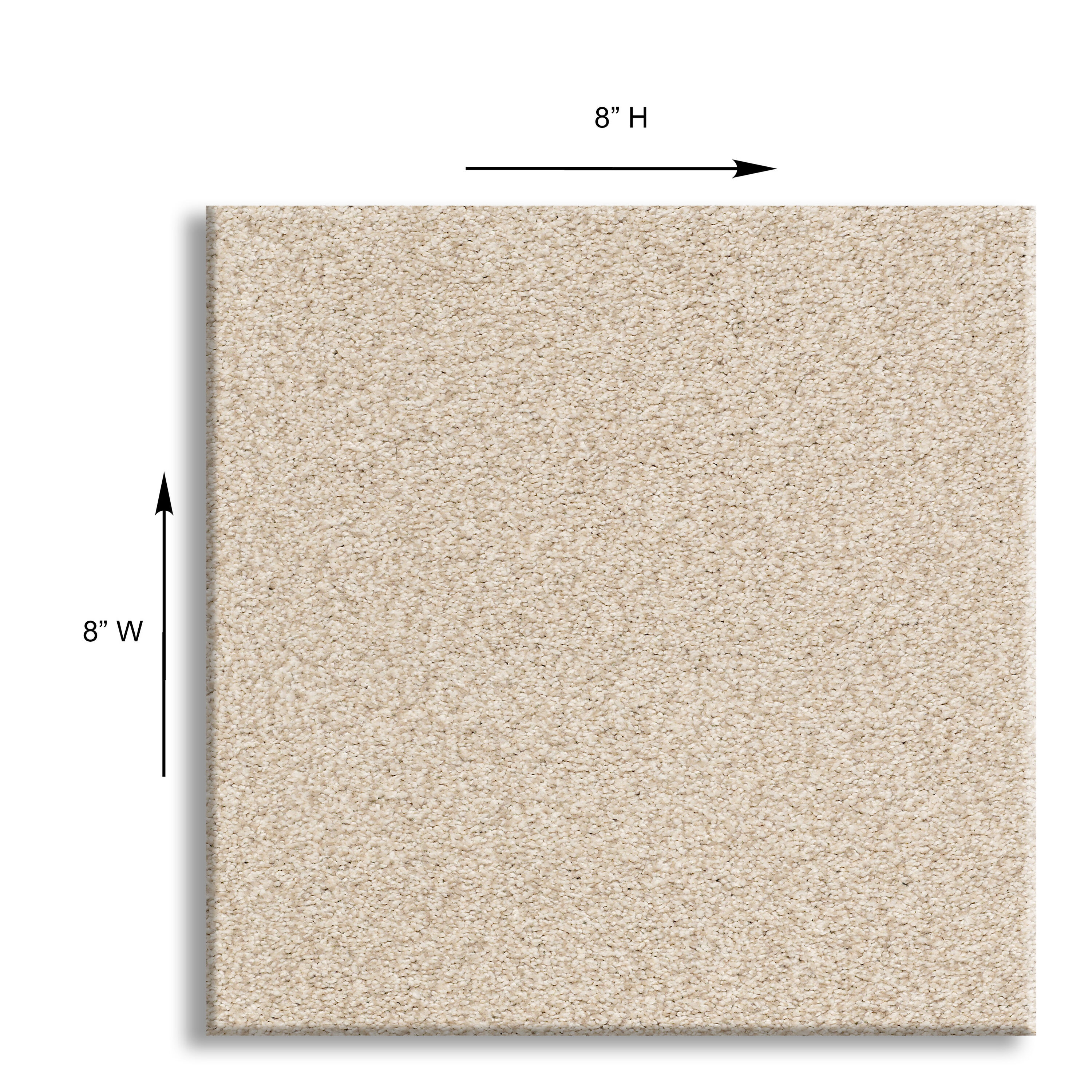 STAINMASTER 7L798-123T-SAMP Carpet-Samples - View #5