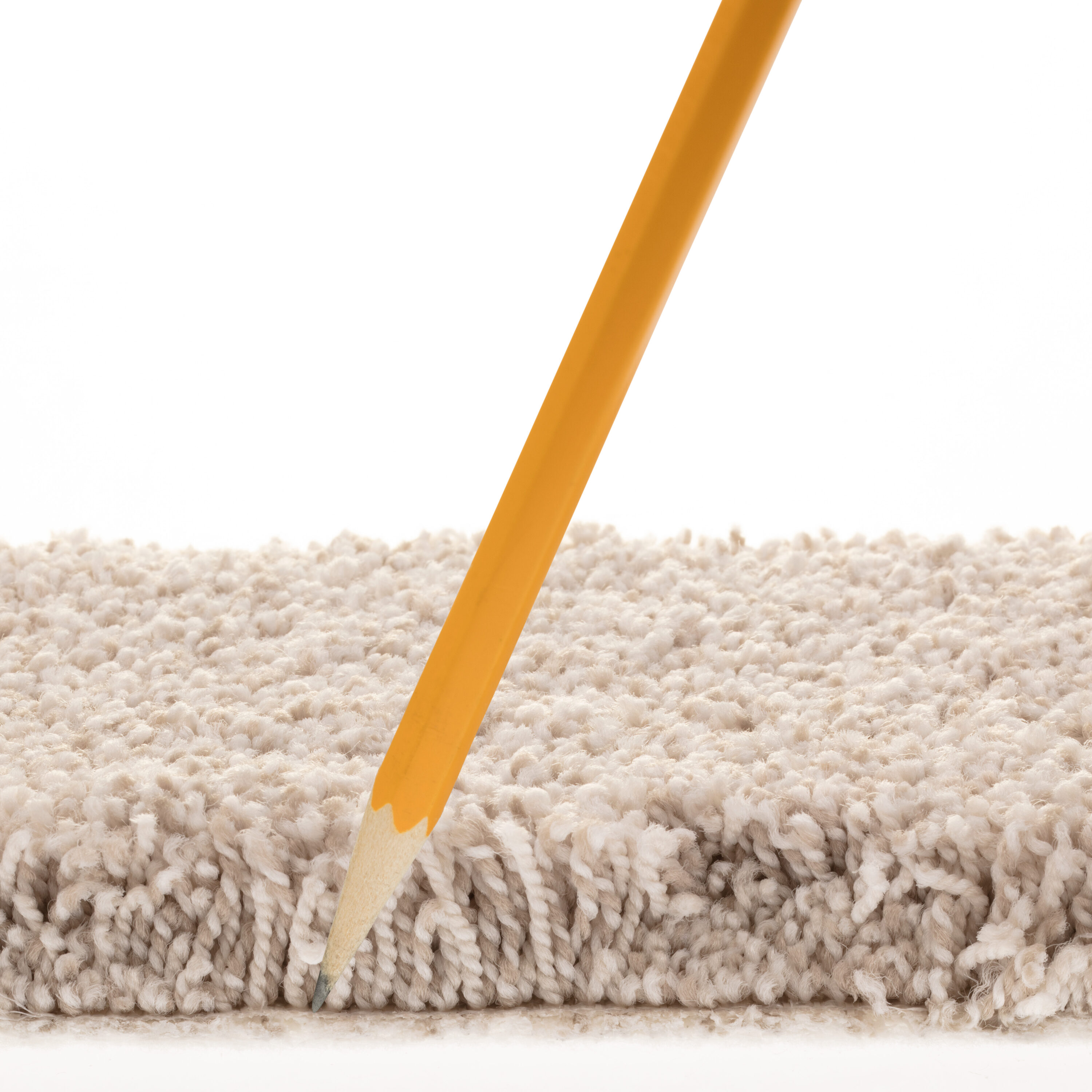 STAINMASTER 7L880 - 146 - SAMP Carpet-Samples - View #7