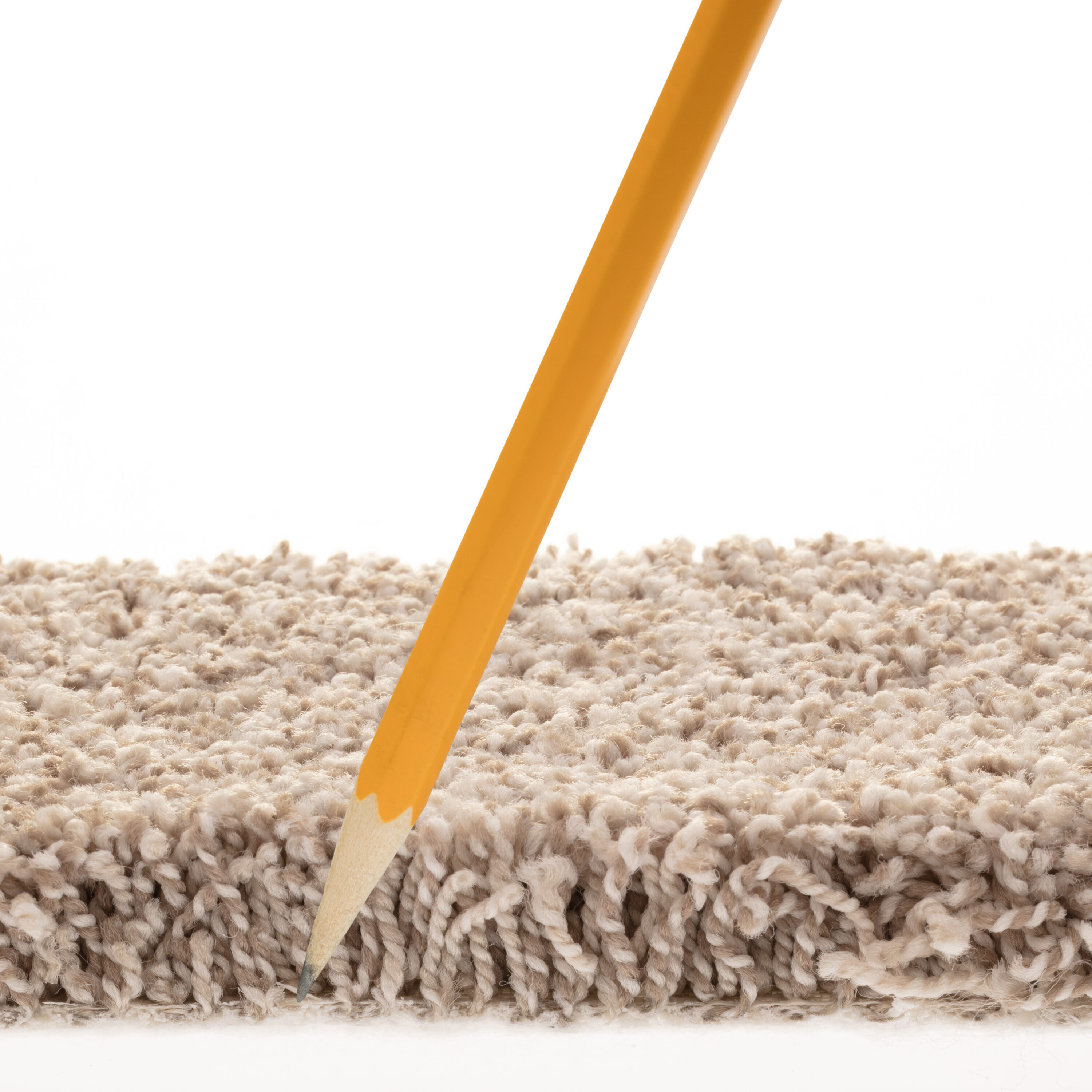 STAINMASTER 7L880 - 722 - SAMP Carpet-Samples - View #7