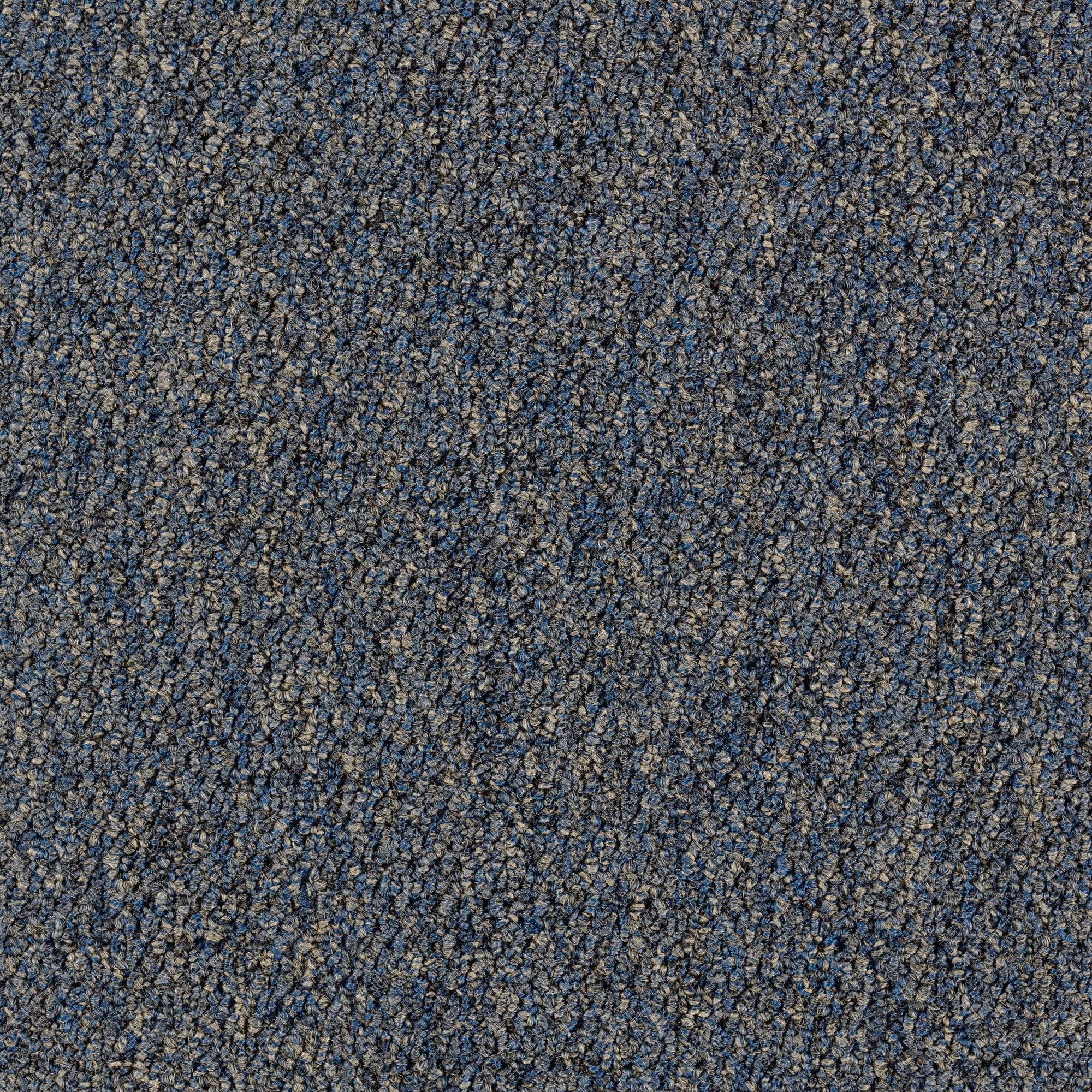 Mohawk LC41-559-0808 (Sample) Home and Office Scholastic 20 Wine Cellar Blue 20-oz sq yard Nylon Textured Indoor Carpet