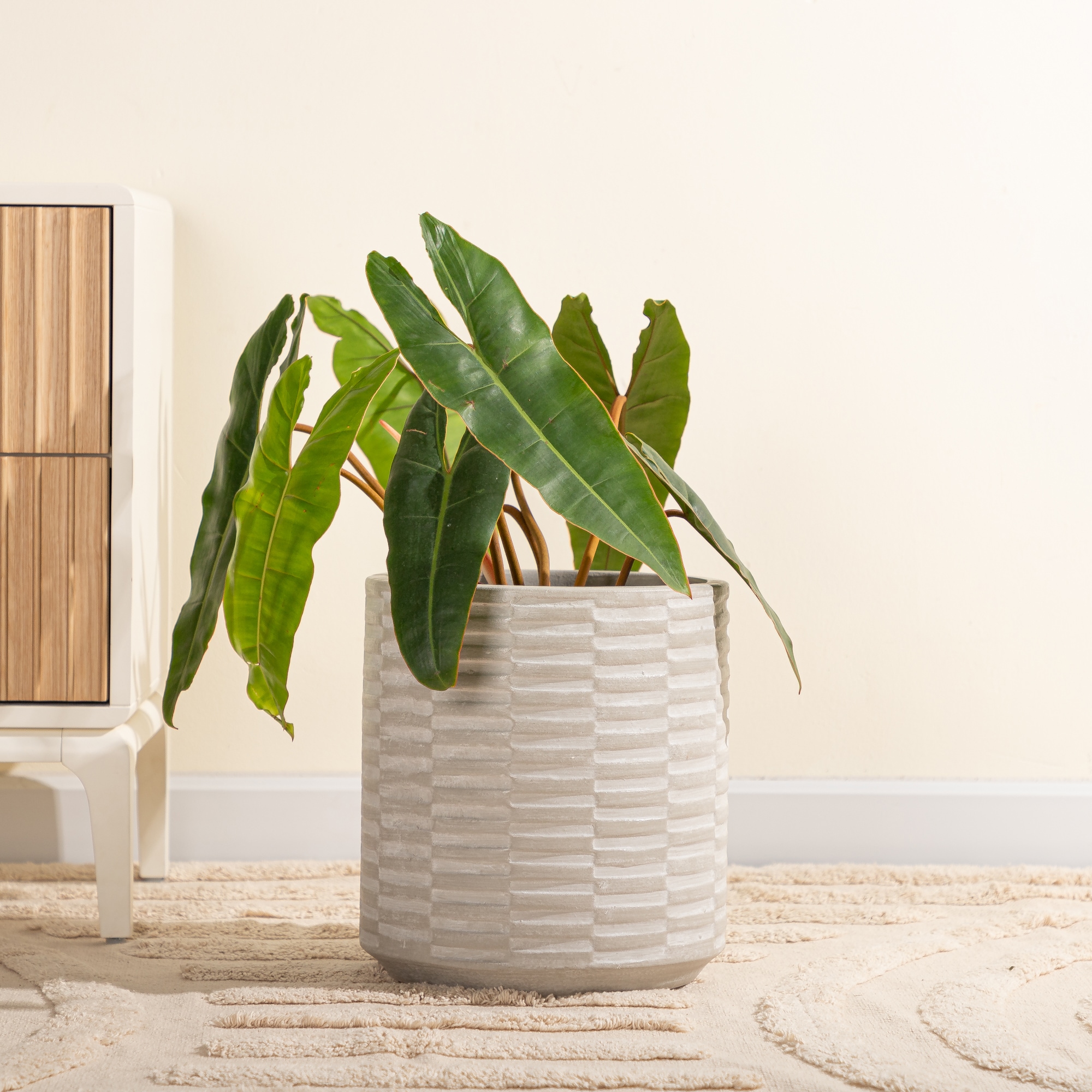 allen + roth P2111103B1-GD546 Planter-Window-Box - View #15