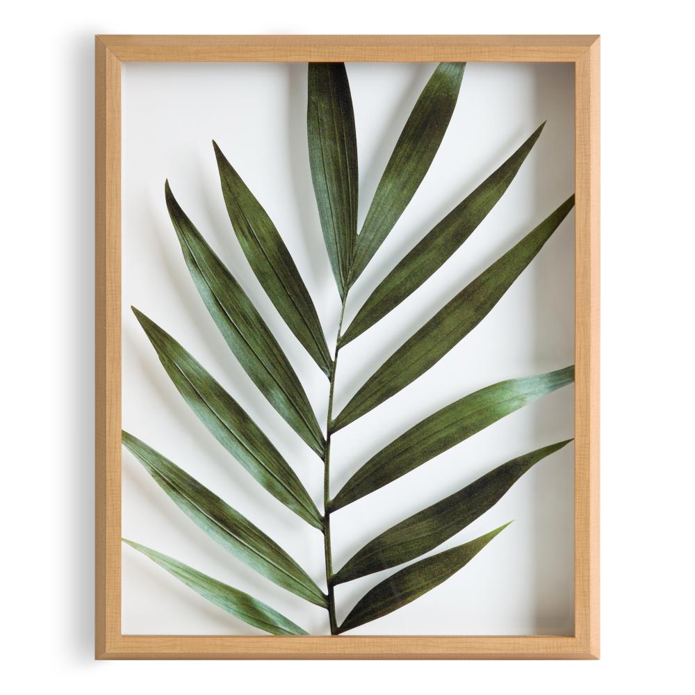 Natural Wood Framed Botanical Glass Art Print, 16" x 20"