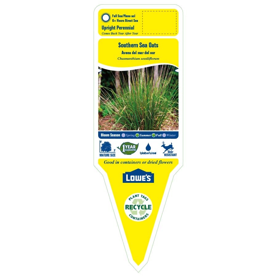 Lowe's 196067 perennials - View #2